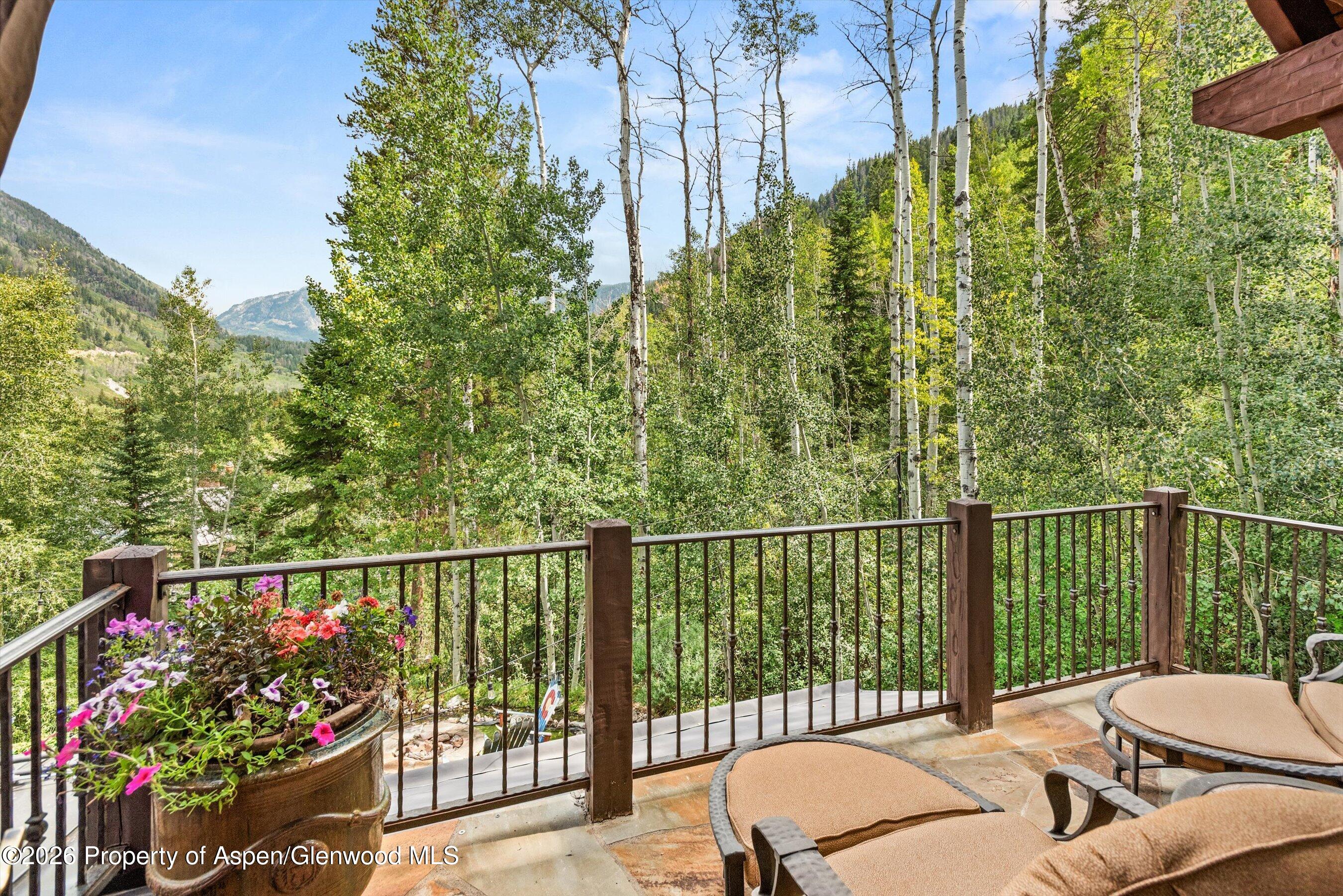 161 Popcorn Lane Aspen CO 81611