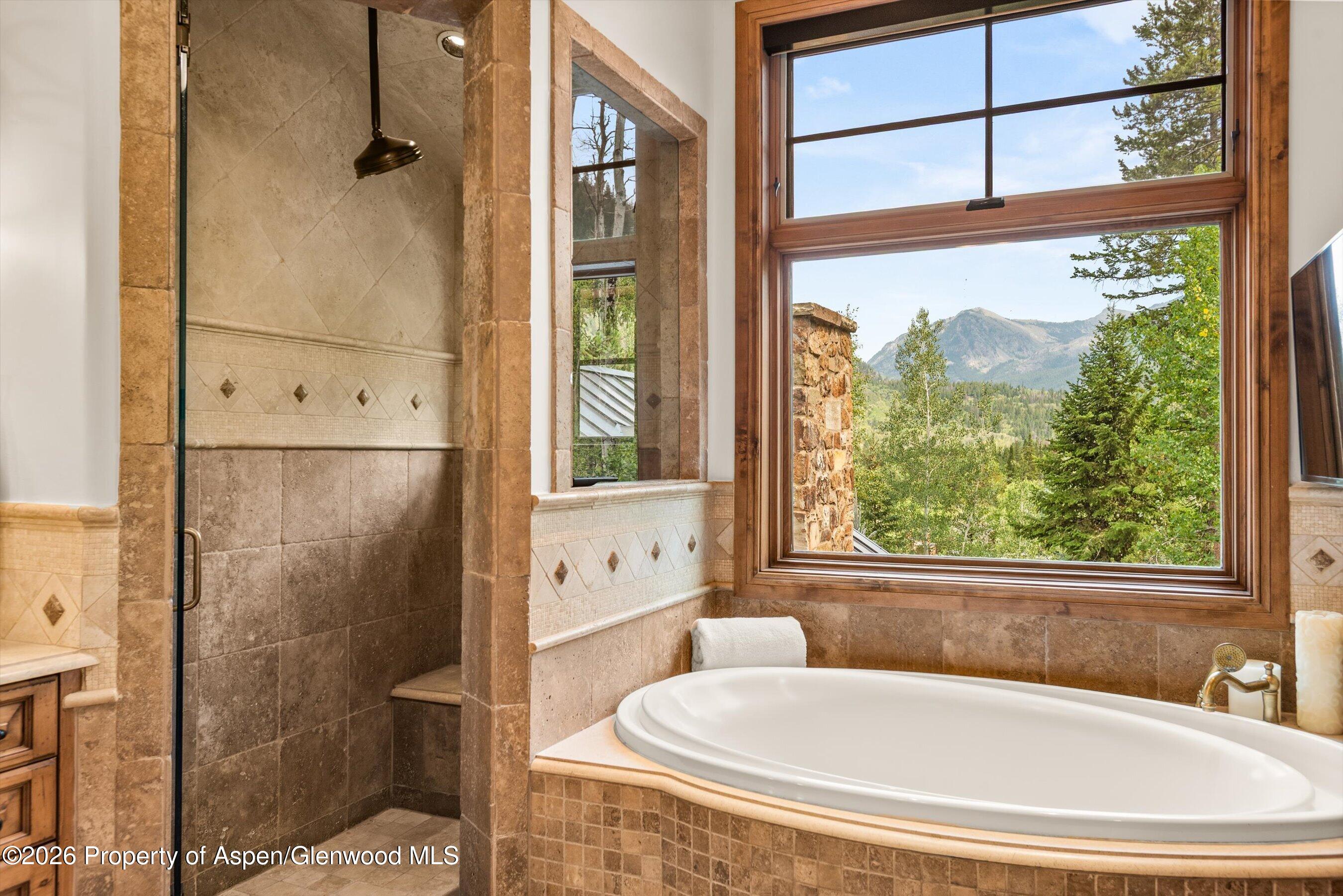 161 Popcorn Lane Aspen CO 81611