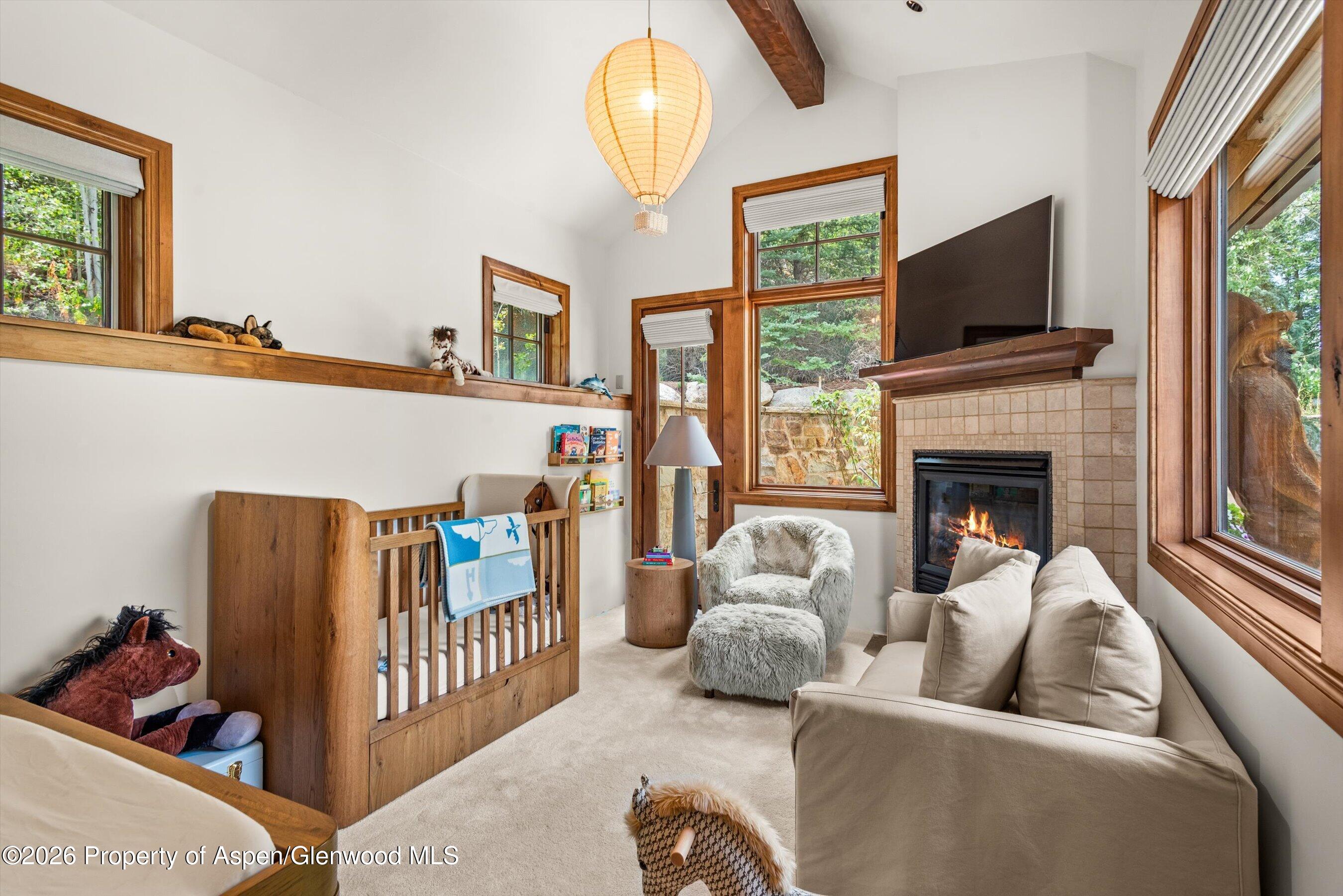 161 Popcorn Lane Aspen CO 81611