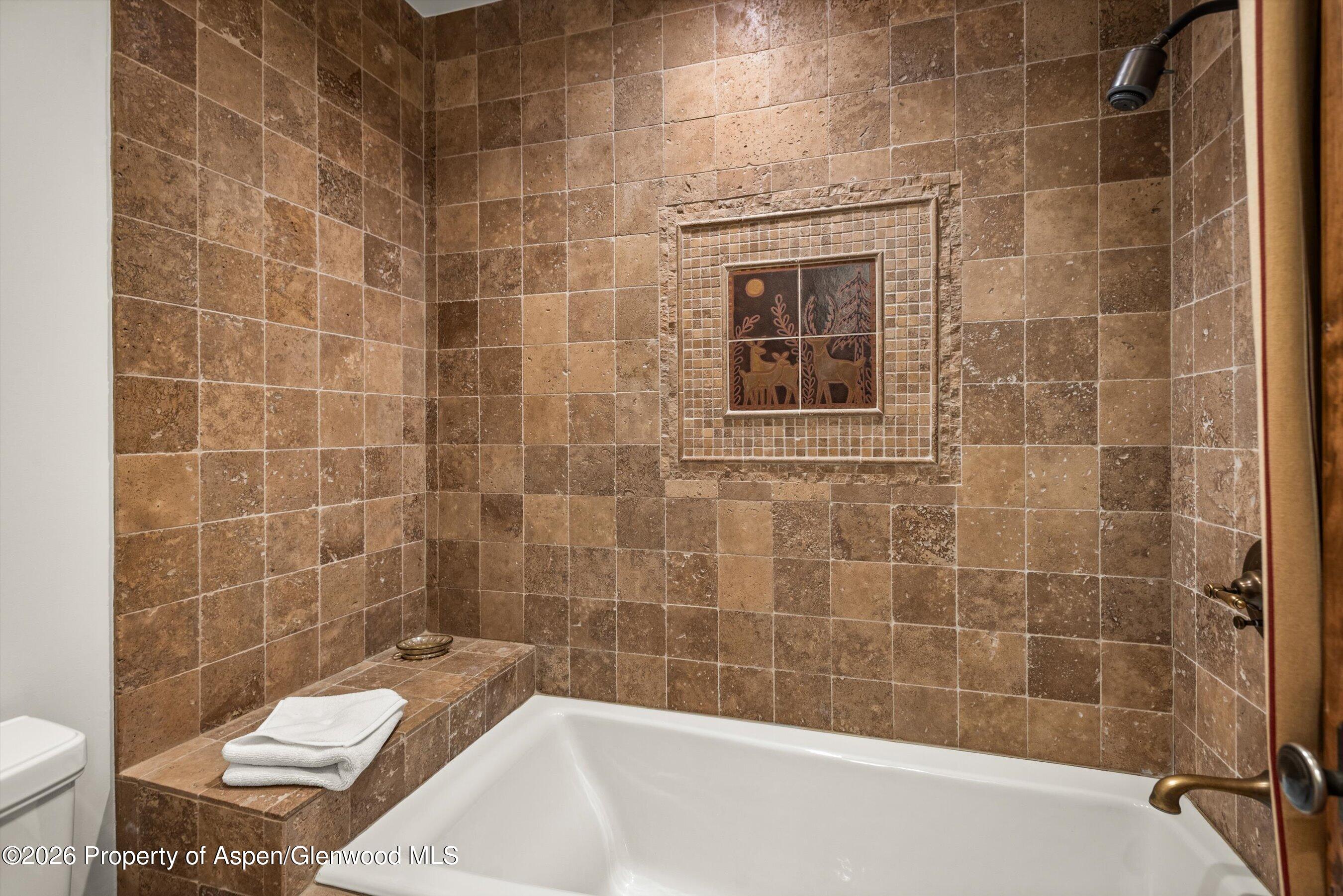 161 Popcorn Lane Aspen CO 81611