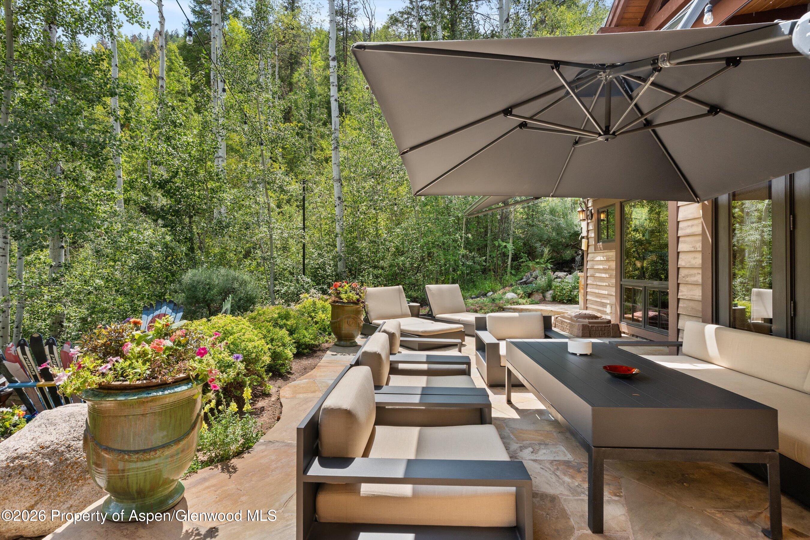 161 Popcorn Lane Aspen CO 81611