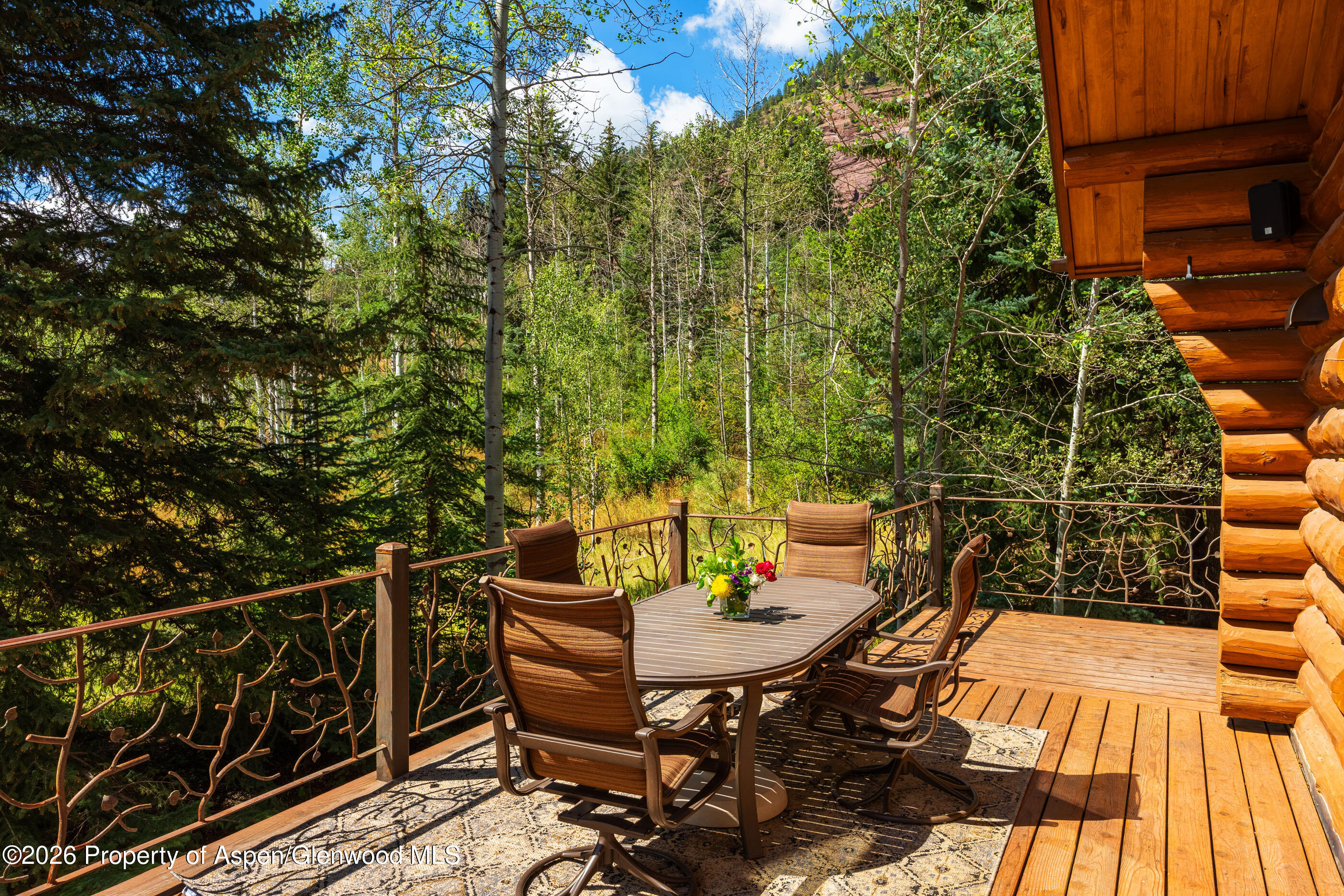 251 Chair Mountain Drive Redstone CO 81623