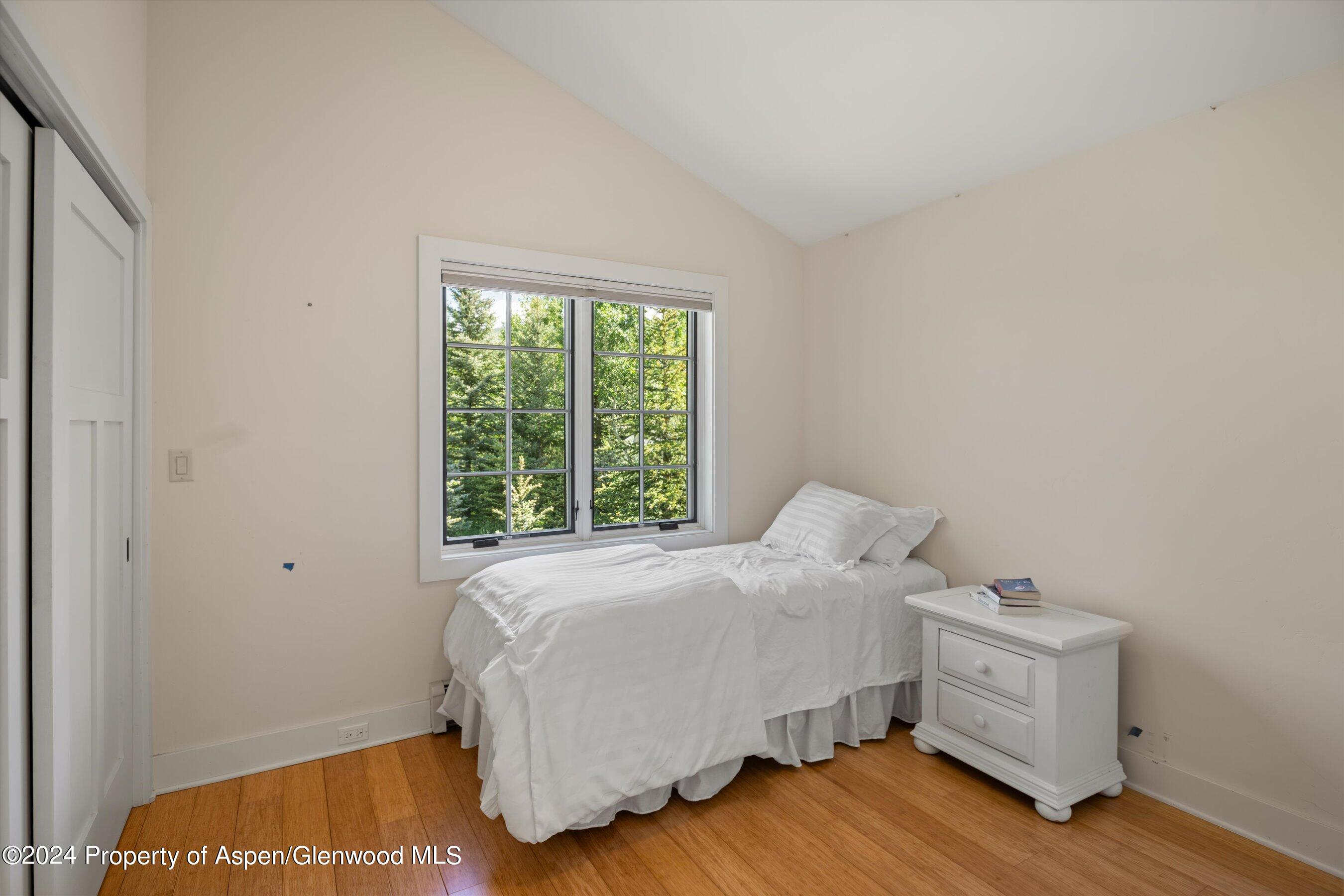58 Maroon Drive Aspen CO 81611