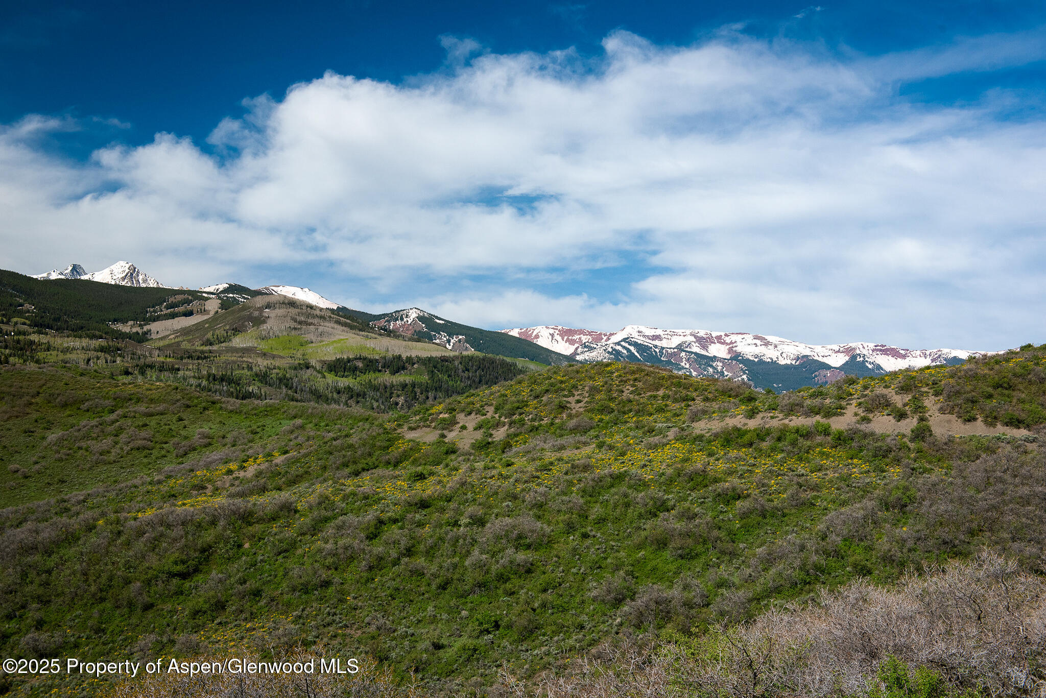 800 Chateau Way Snowmass CO 81654