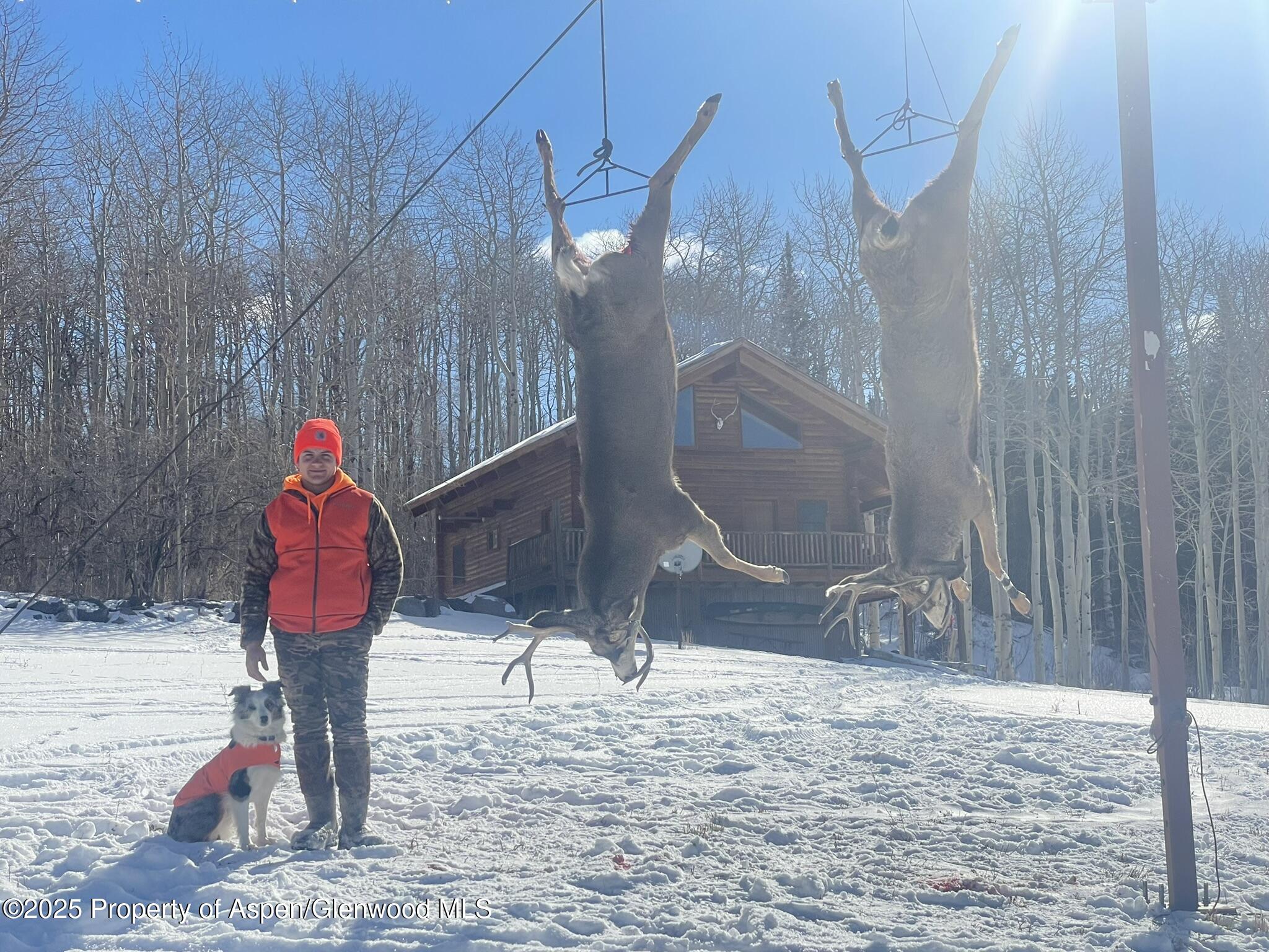 943 Routt Forest Drive Craig CO 81625