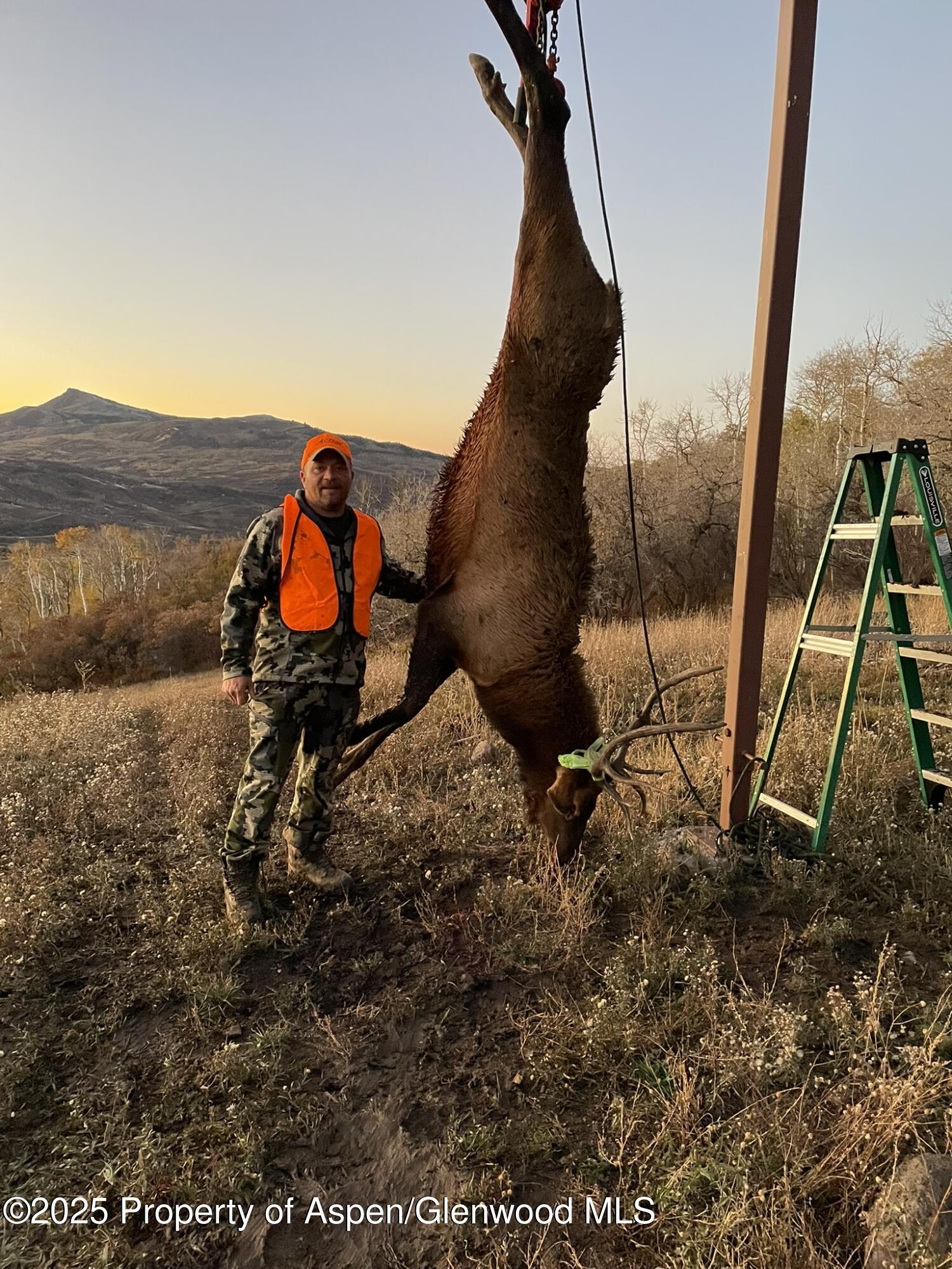 943 Routt Forest Drive Craig CO 81625