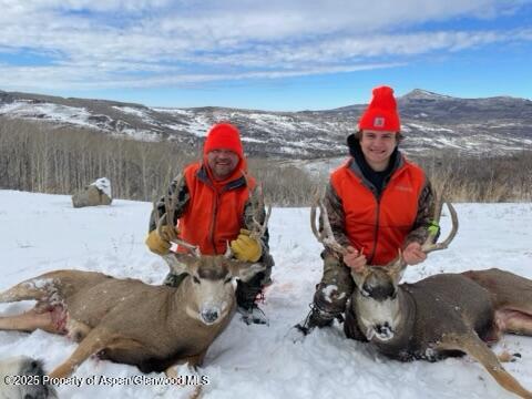 943 Routt Forest Drive Craig CO 81625