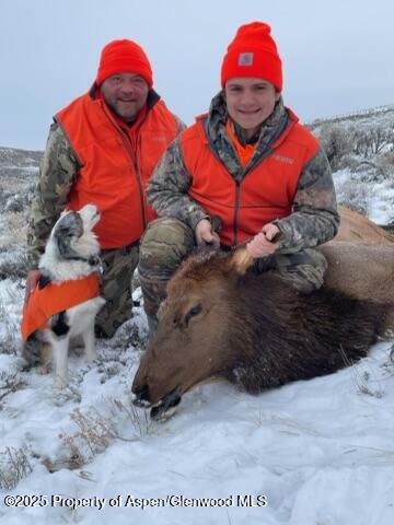 943 Routt Forest Drive Craig CO 81625