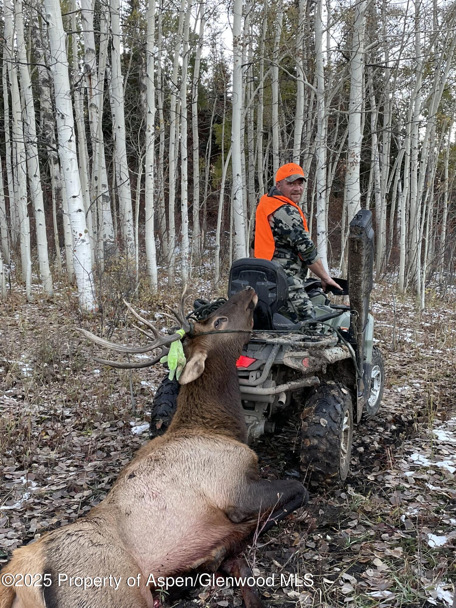 943 Routt Forest Drive Craig CO 81625