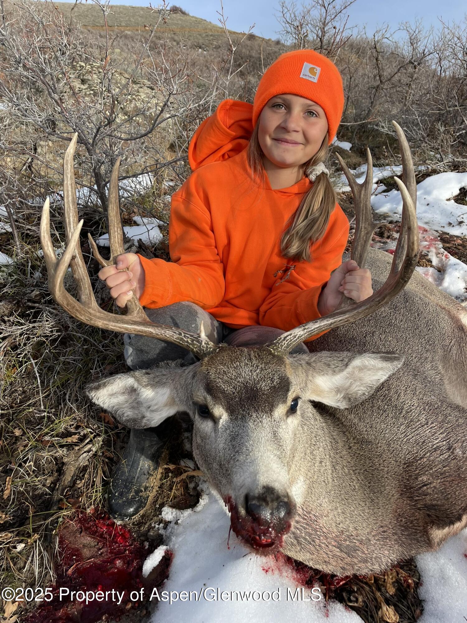 943 Routt Forest Drive Craig CO 81625