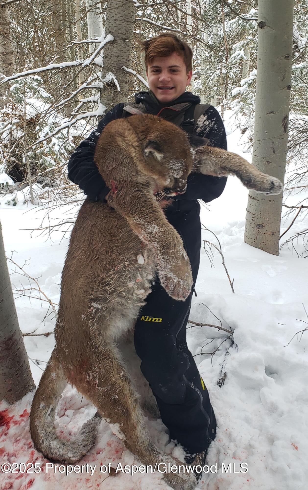 943 Routt Forest Drive Craig CO 81625