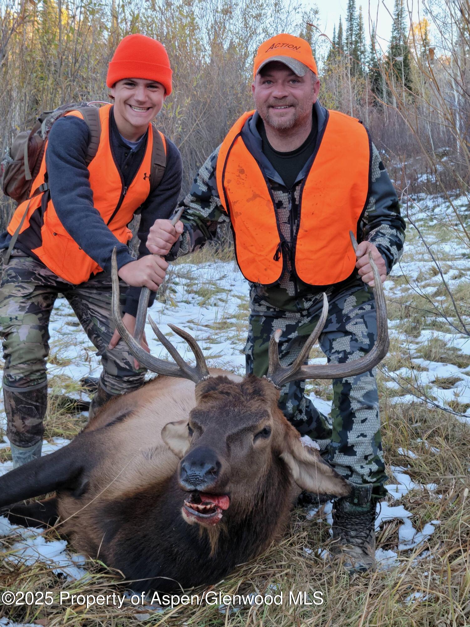 943 Routt Forest Drive Craig CO 81625