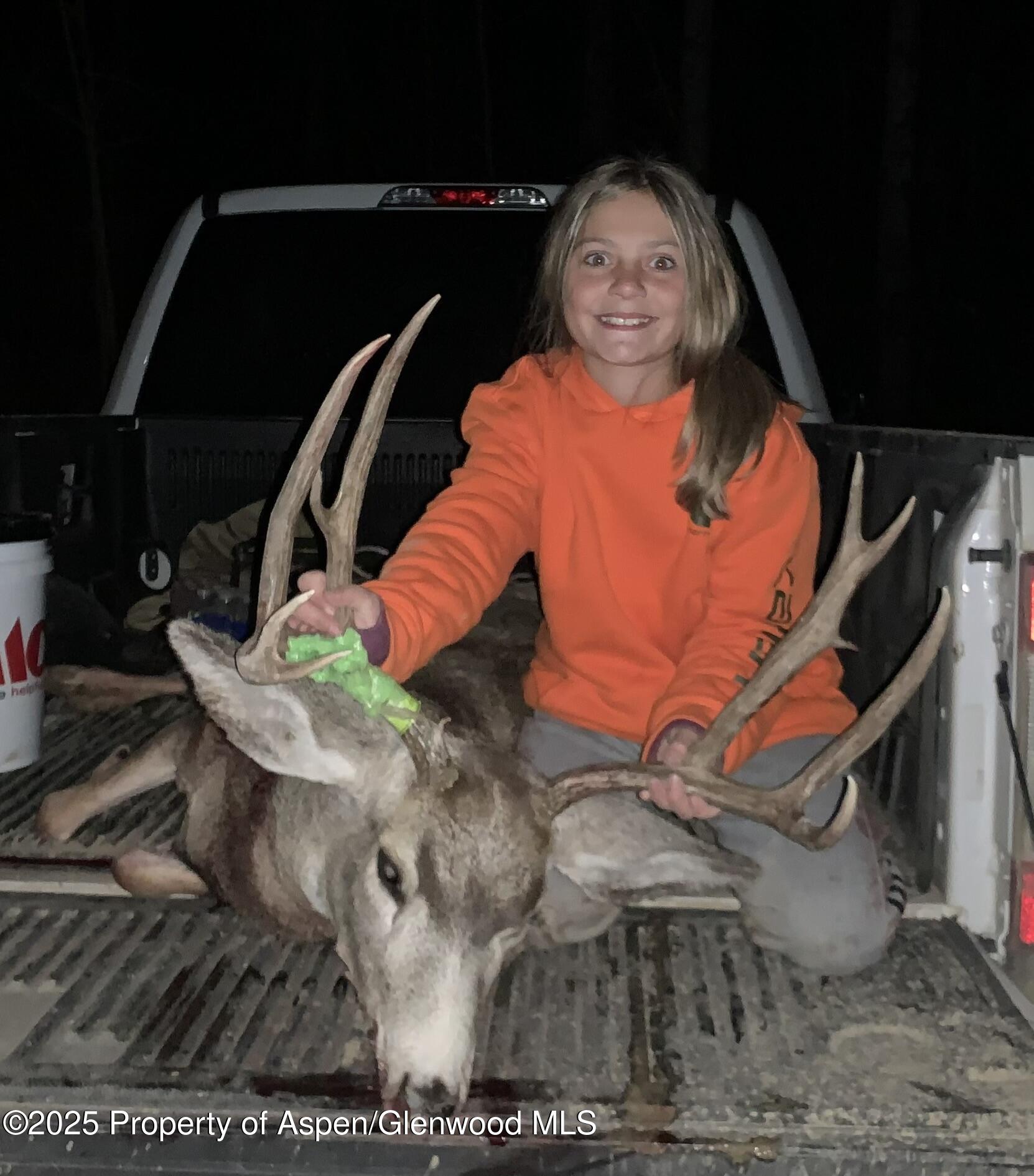 943 Routt Forest Drive Craig CO 81625