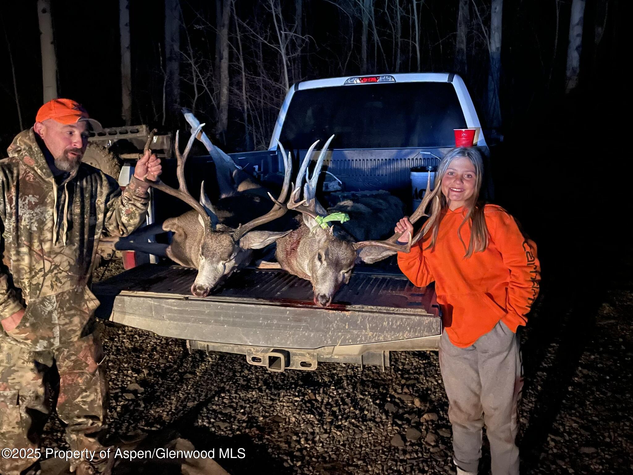 943 Routt Forest Drive Craig CO 81625