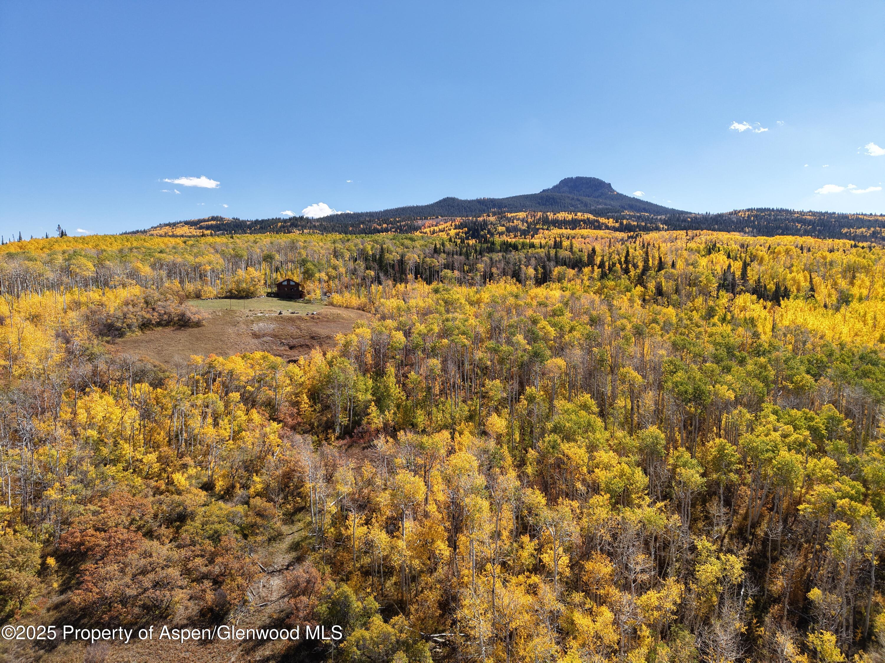 943 Routt Forest Drive Craig CO 81625