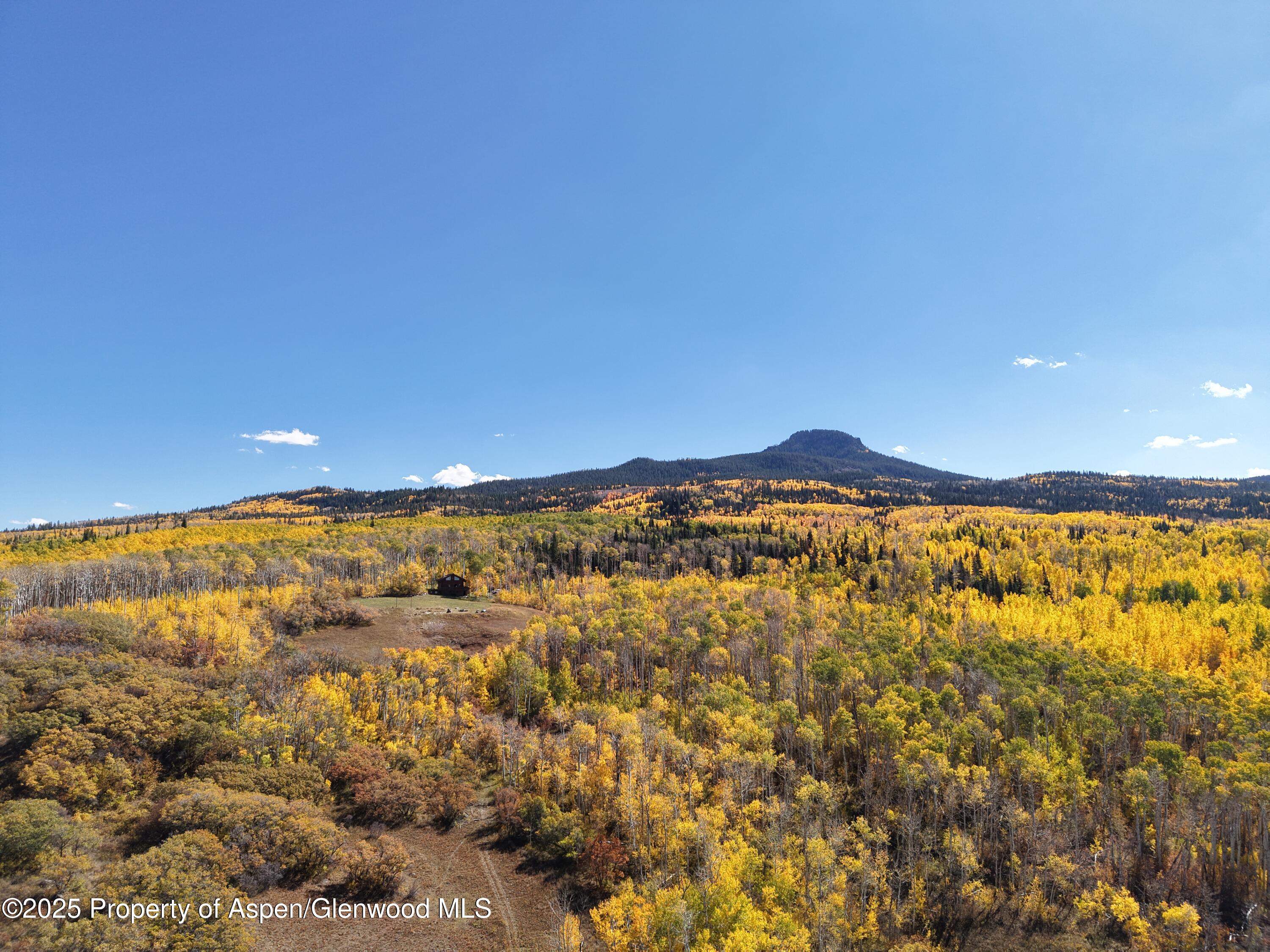 943 Routt Forest Drive Craig CO 81625