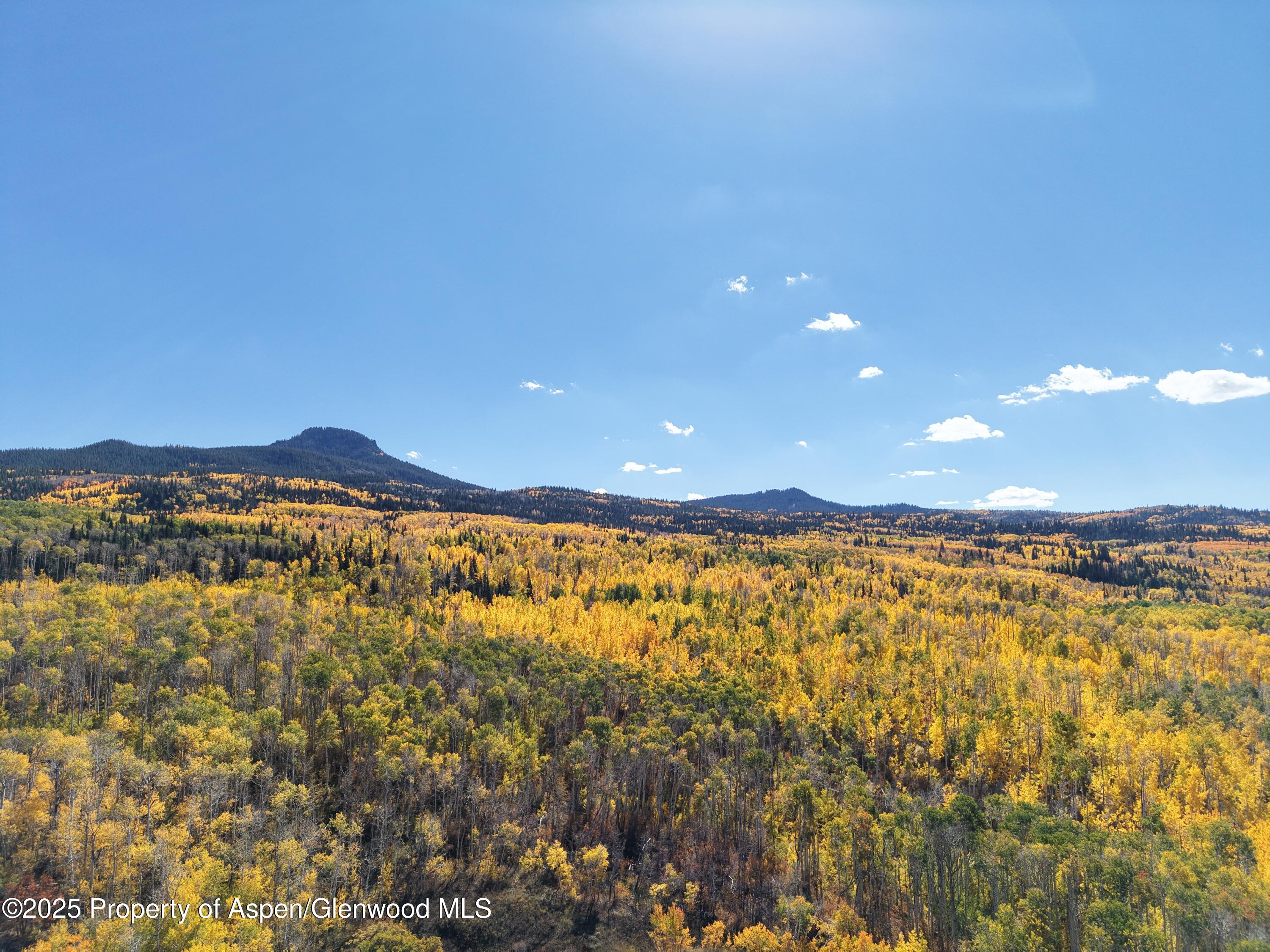 943 Routt Forest Drive Craig CO 81625