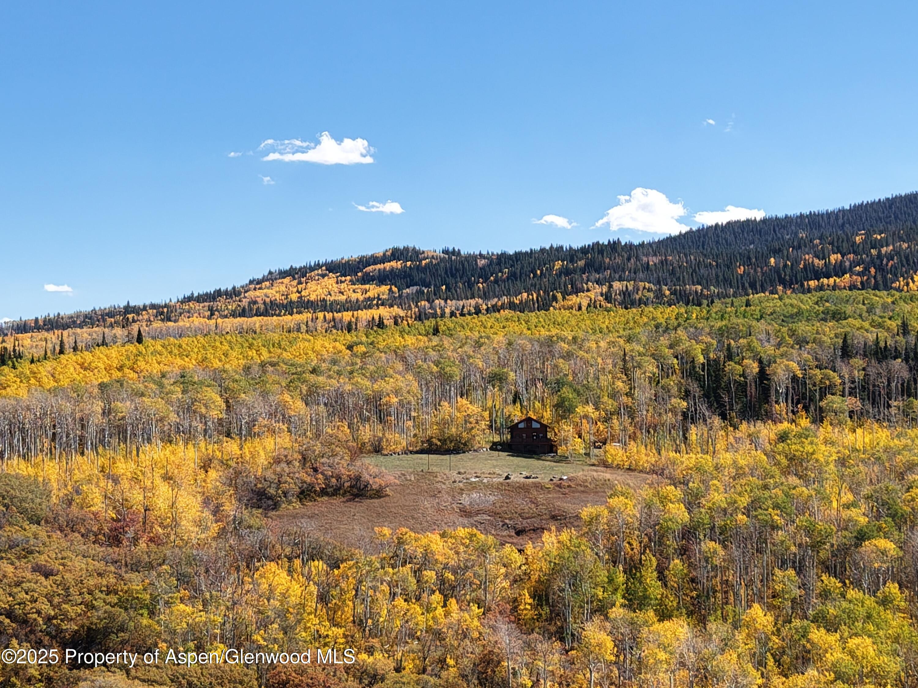 943 Routt Forest Drive Craig CO 81625