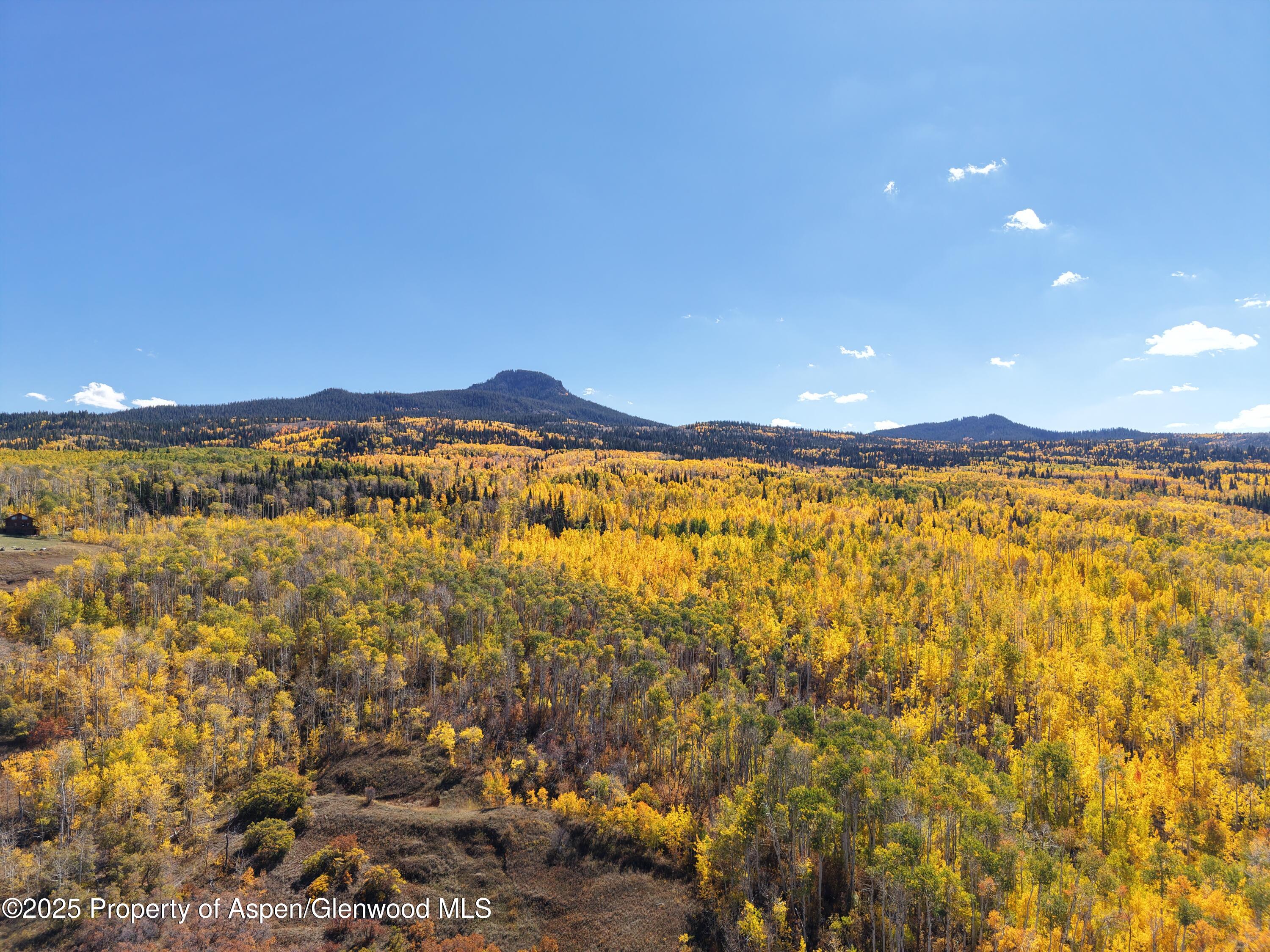 943 Routt Forest Drive Craig CO 81625