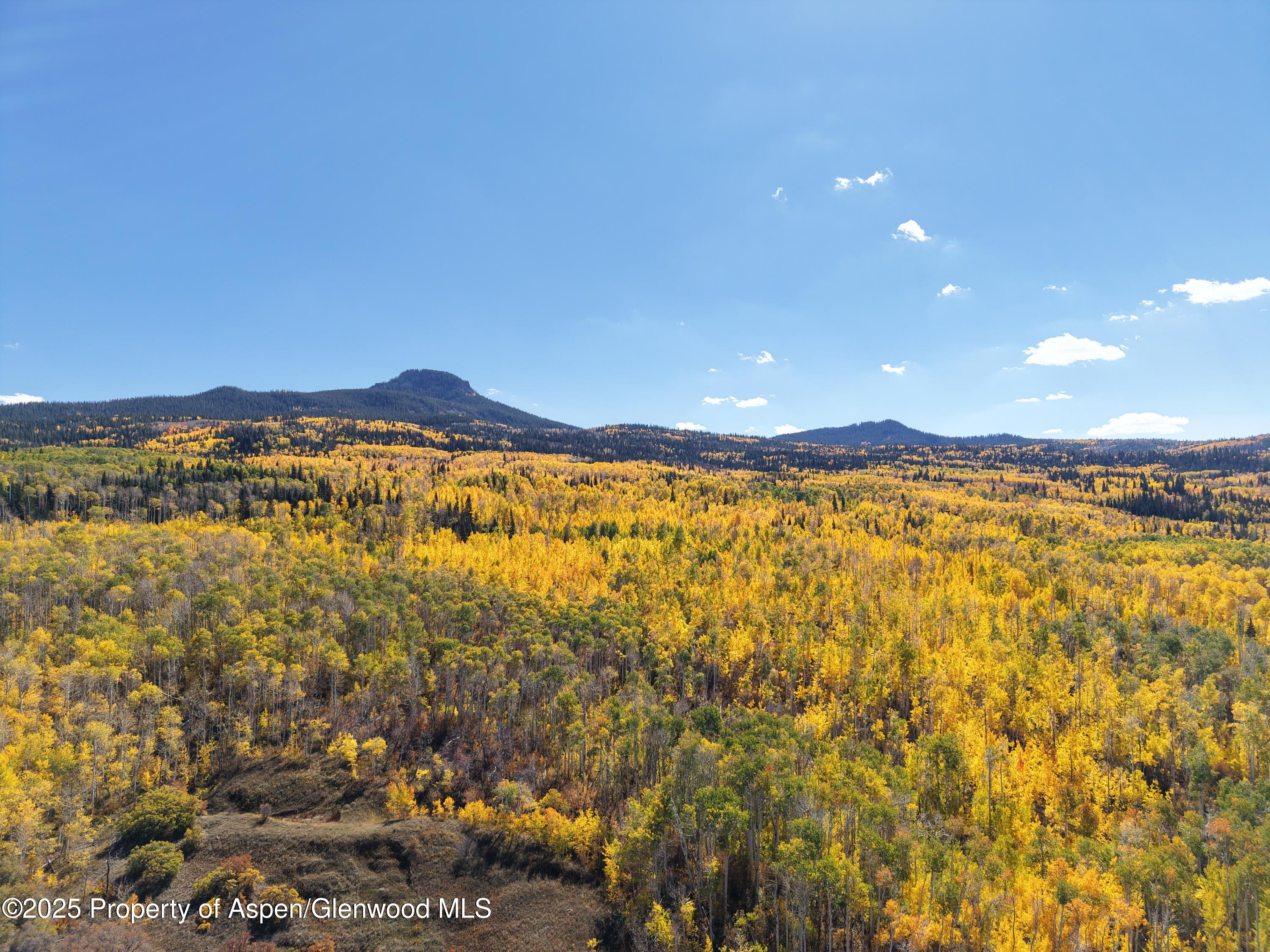 943 Routt Forest Drive Craig CO 81625