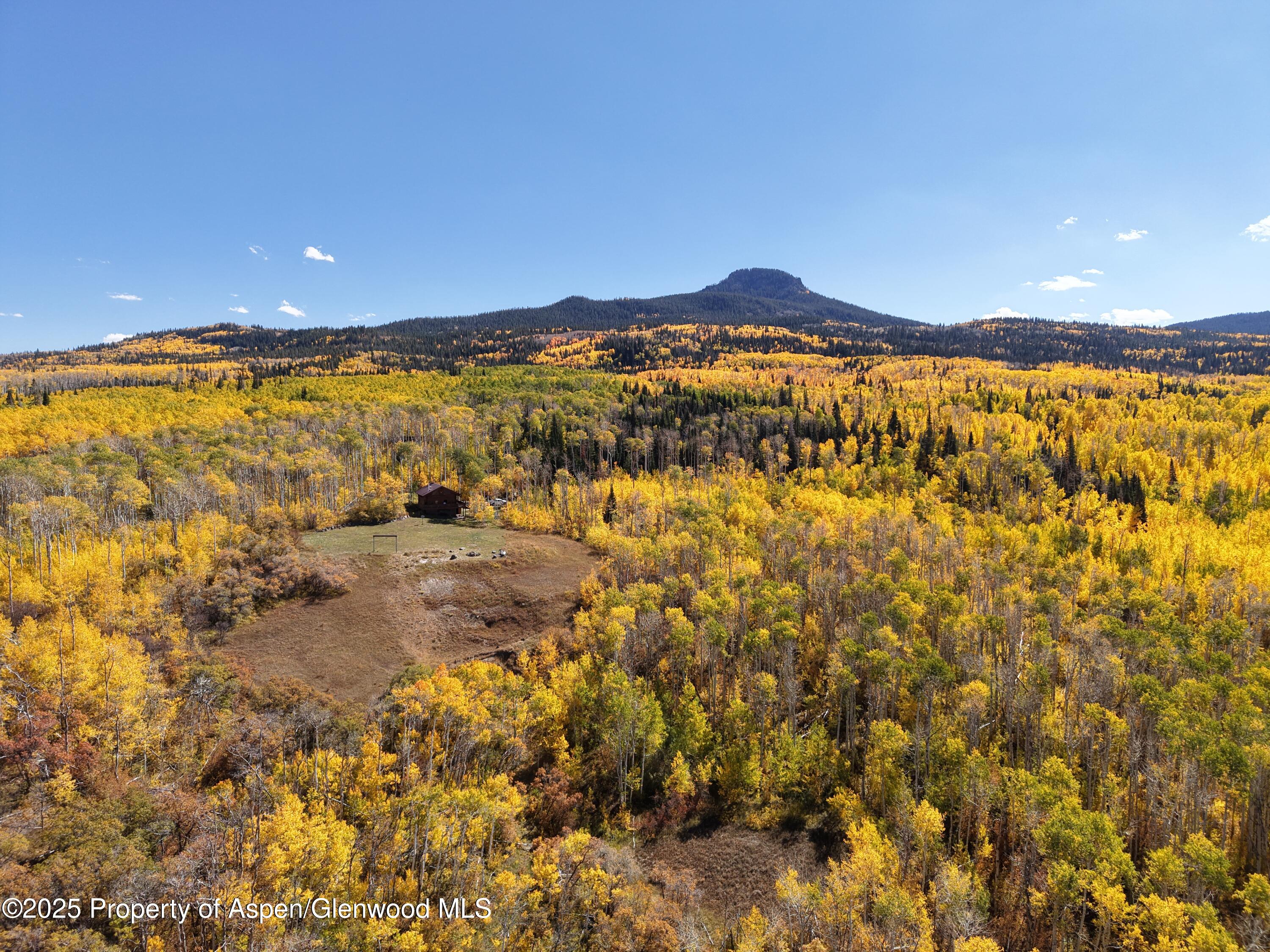 943 Routt Forest Drive Craig CO 81625