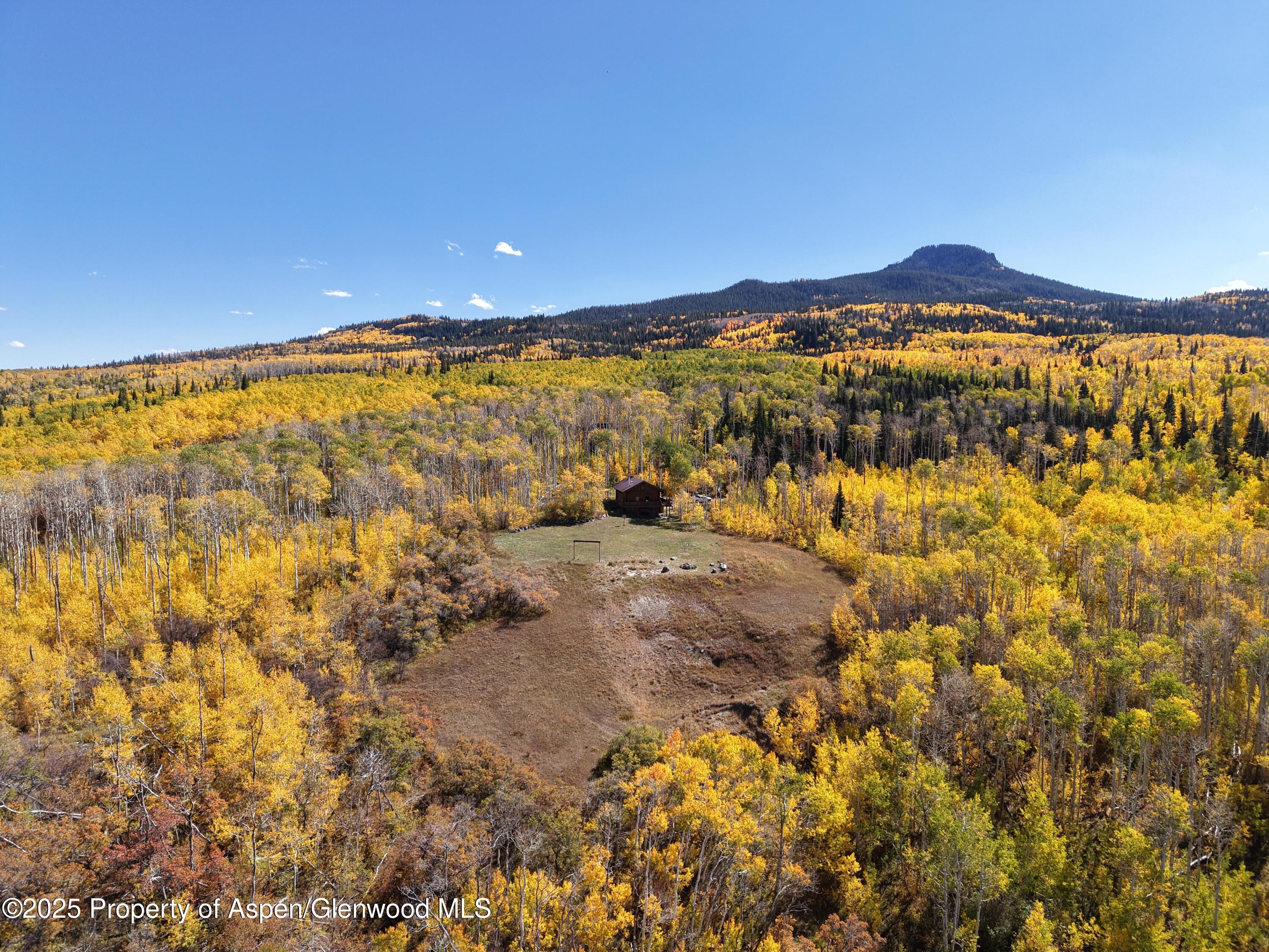 943 Routt Forest Drive Craig CO 81625