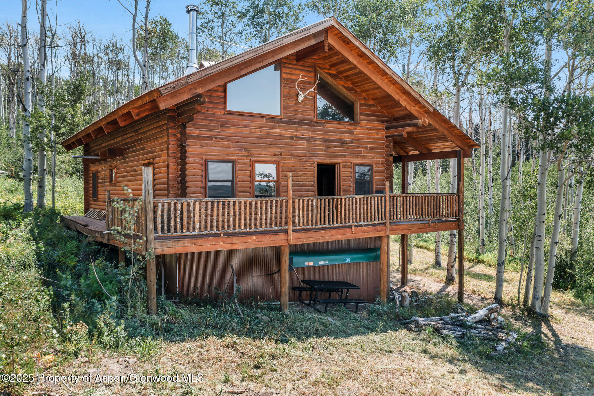 943 Routt Forest Drive Craig CO 81625