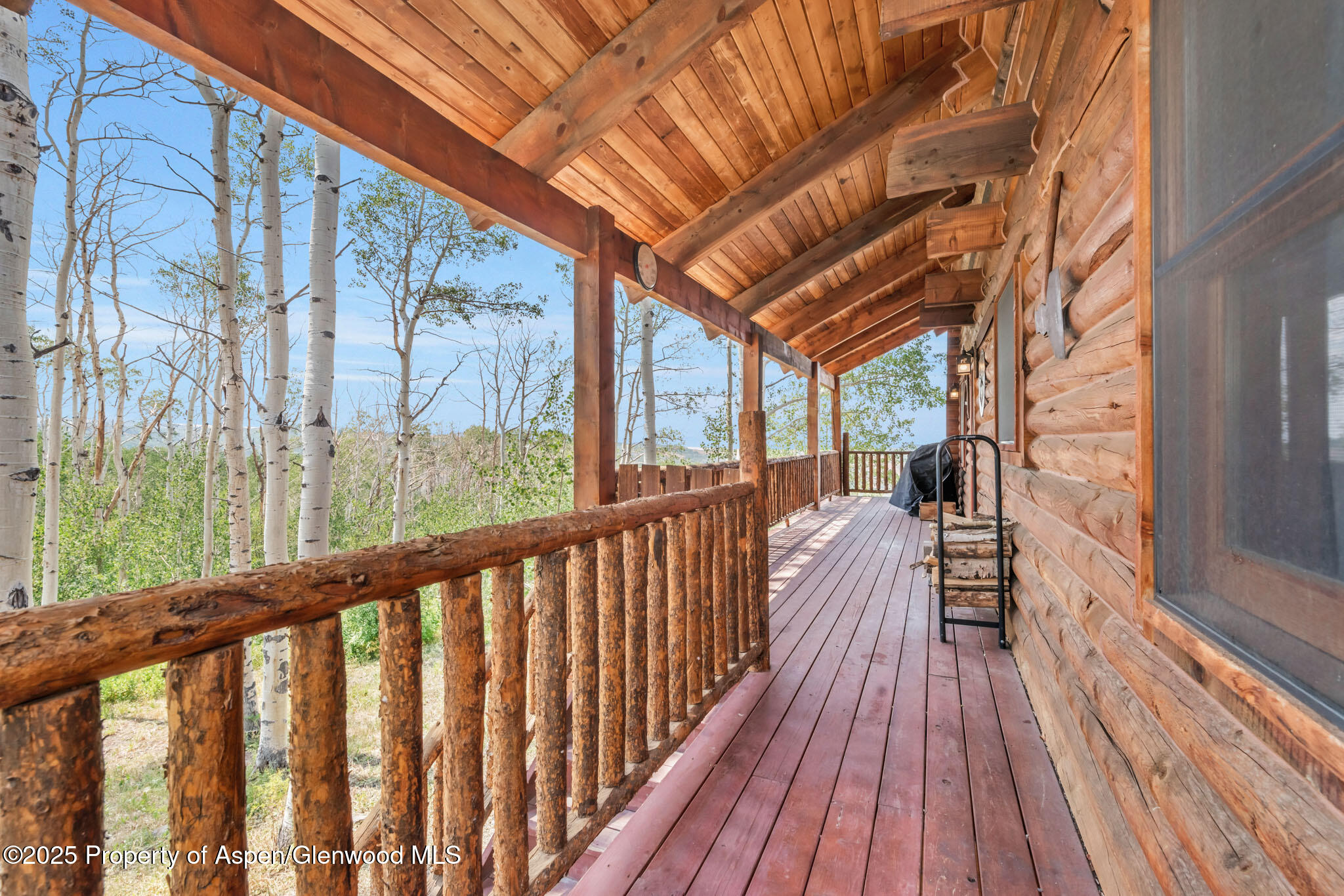 943 Routt Forest Drive Craig CO 81625