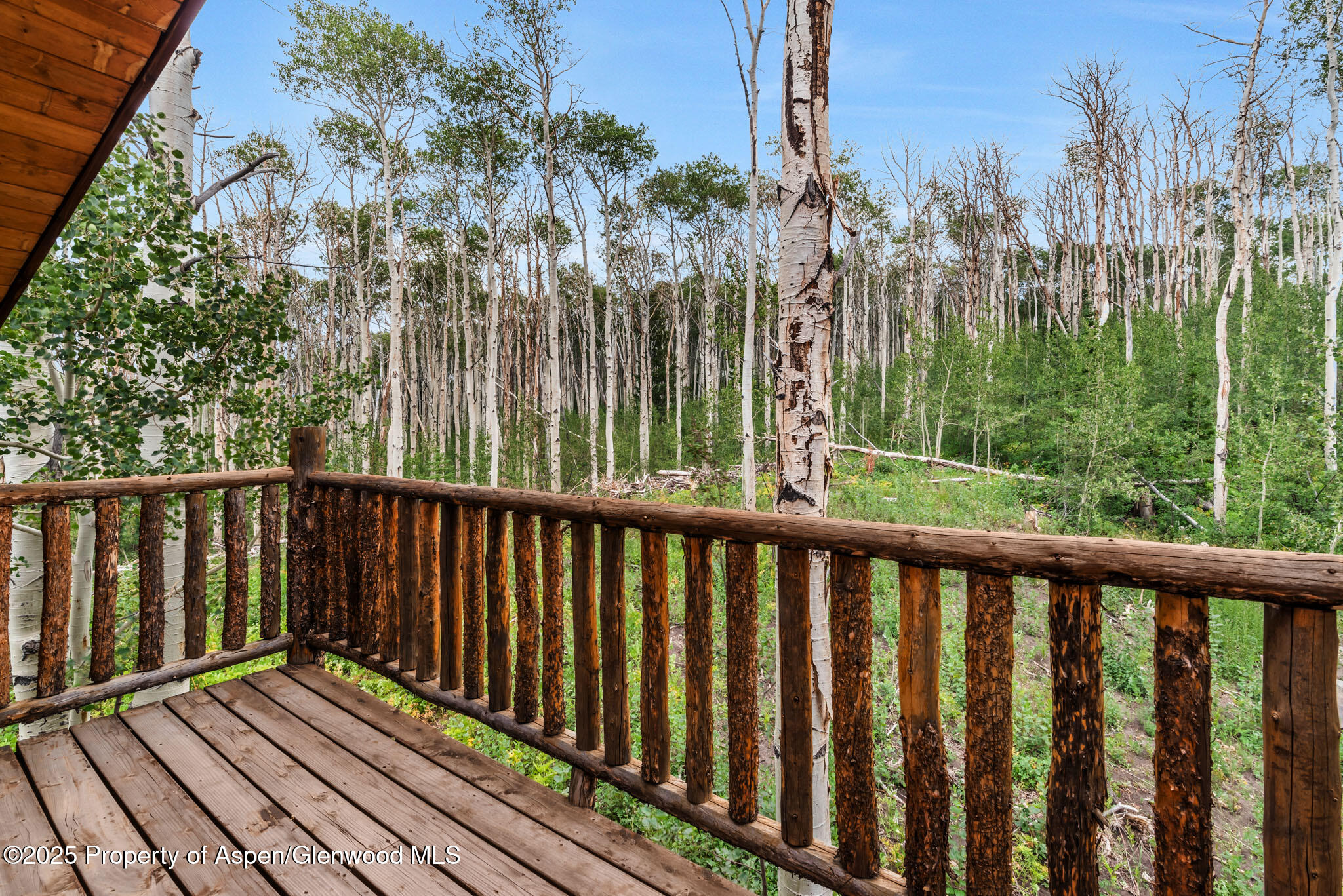 943 Routt Forest Drive Craig CO 81625