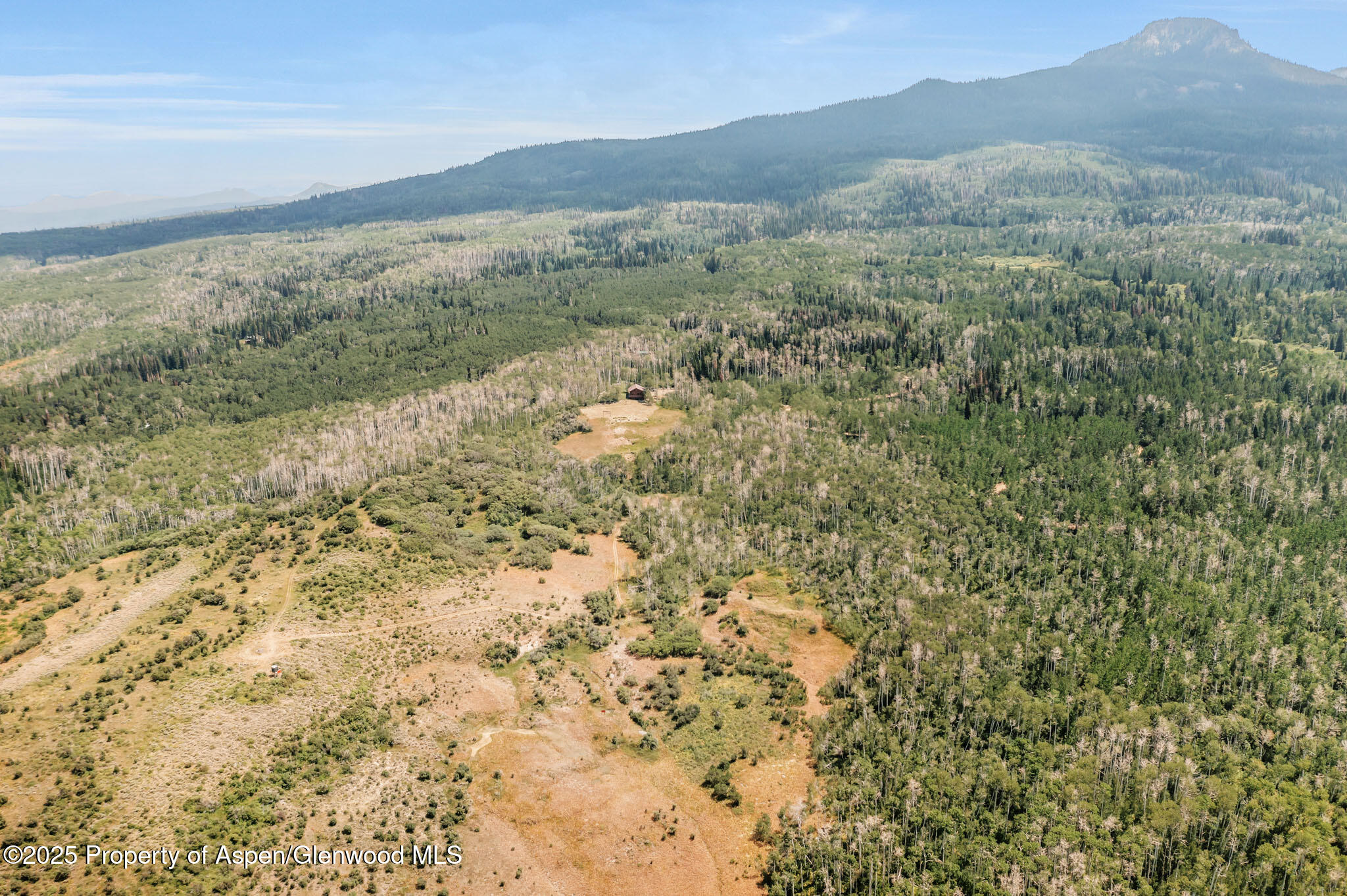 943 Routt Forest Drive Craig CO 81625