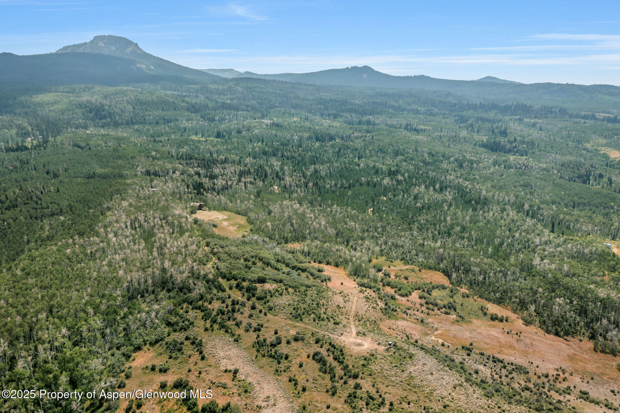 943 Routt Forest Drive Craig CO 81625