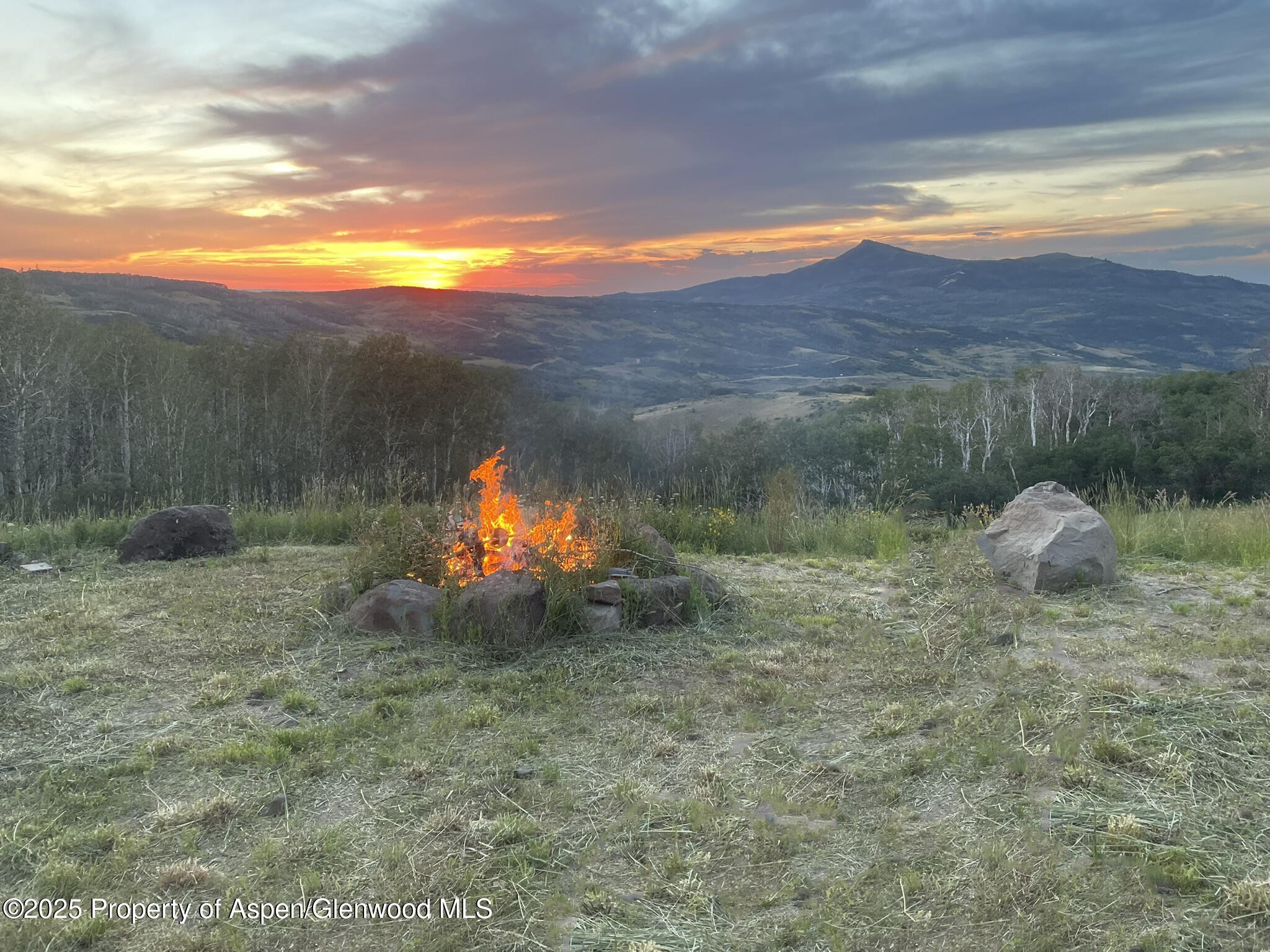 943 Routt Forest Drive Craig CO 81625