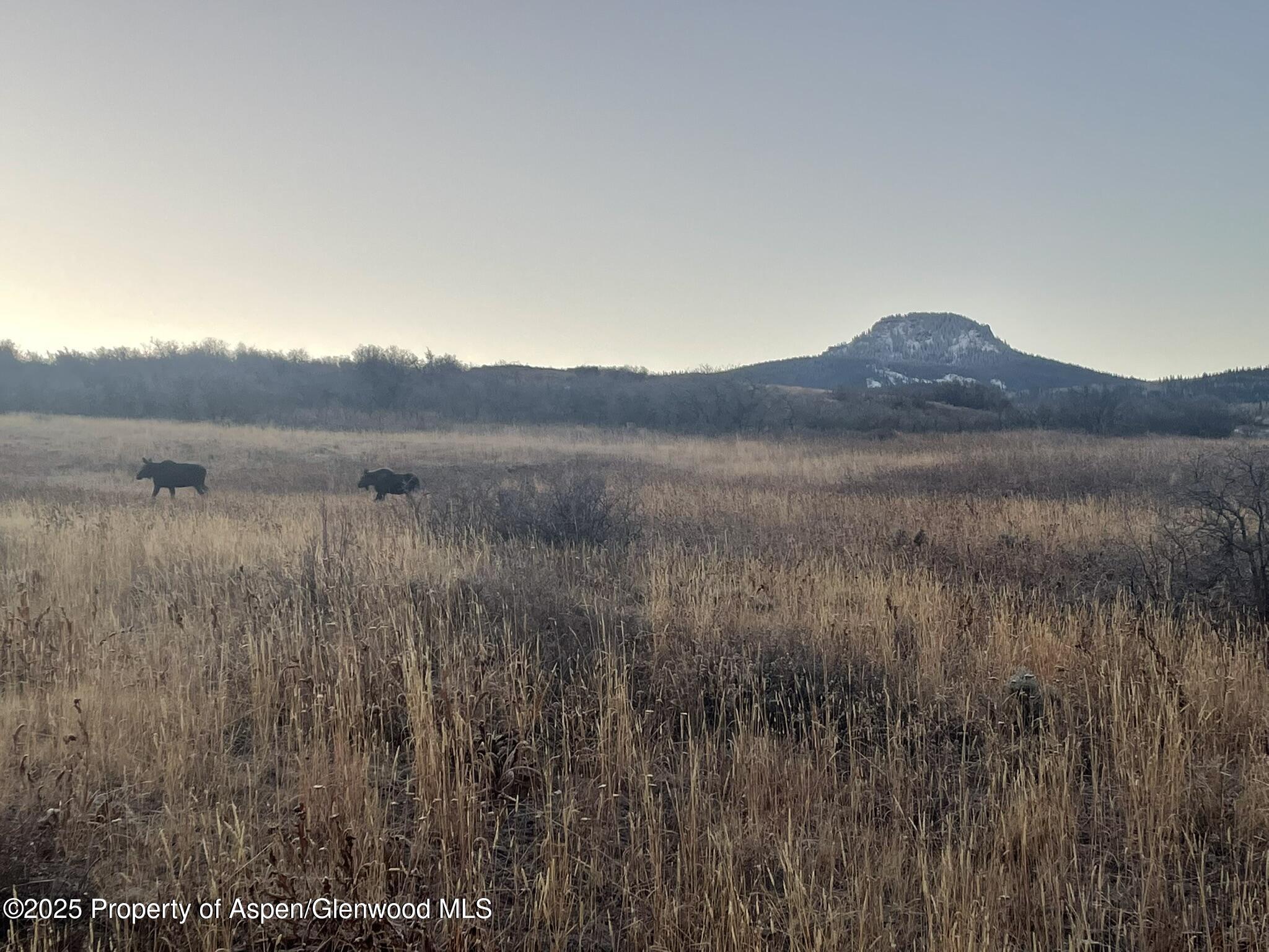 943 Routt Forest Drive Craig CO 81625