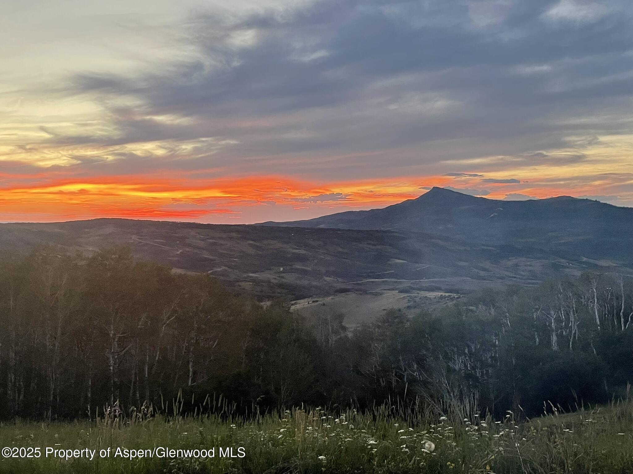 943 Routt Forest Drive Craig CO 81625