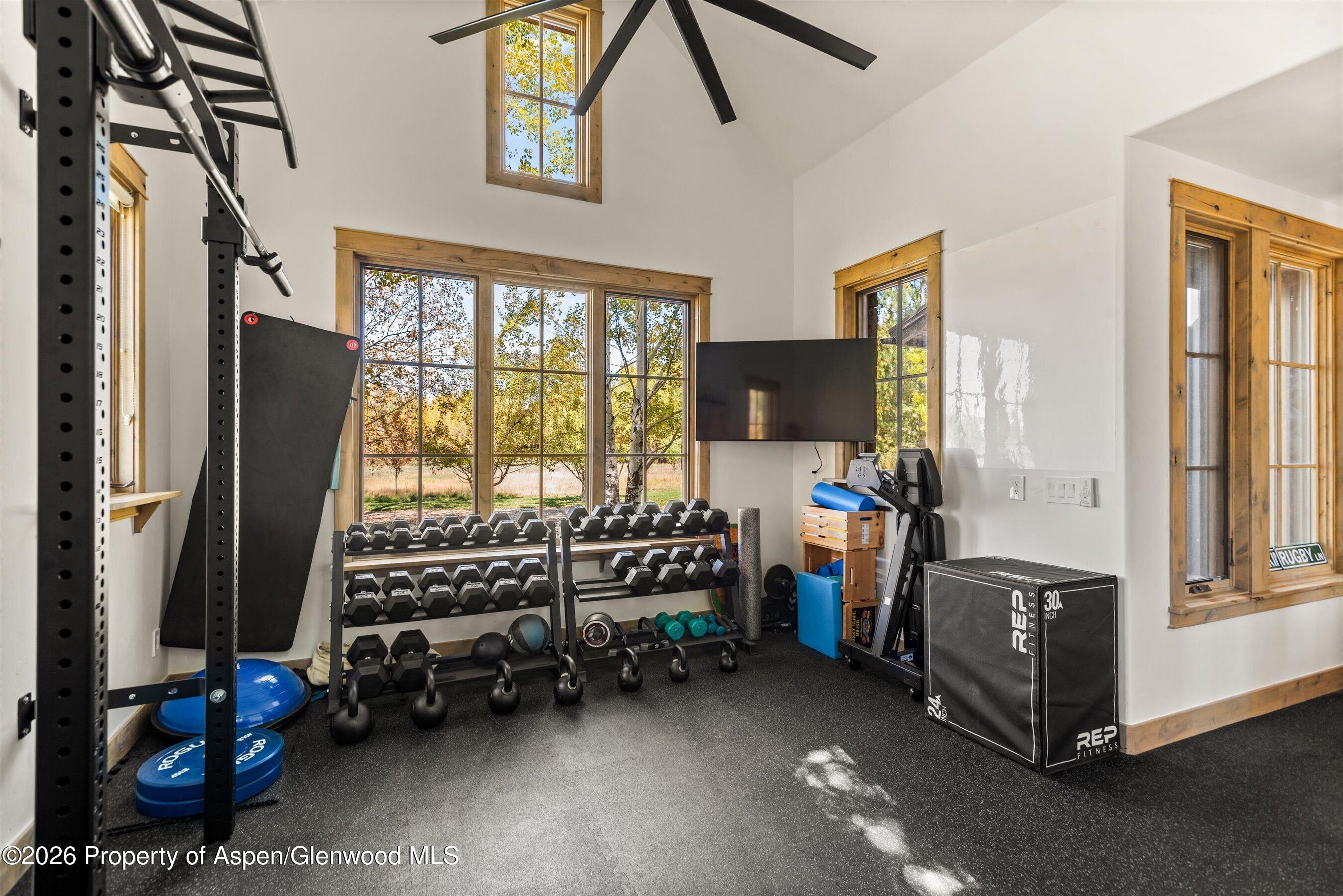 14 Silver Spruce Drive Carbondale CO 81623
