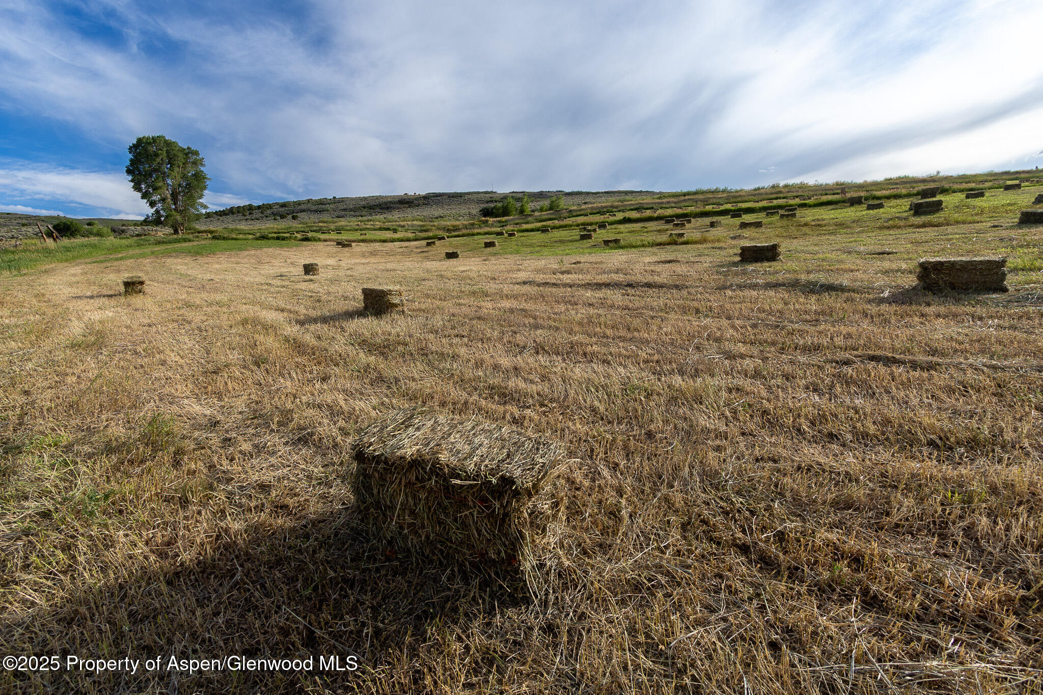 1903 County Road 43 Meeker CO 81641