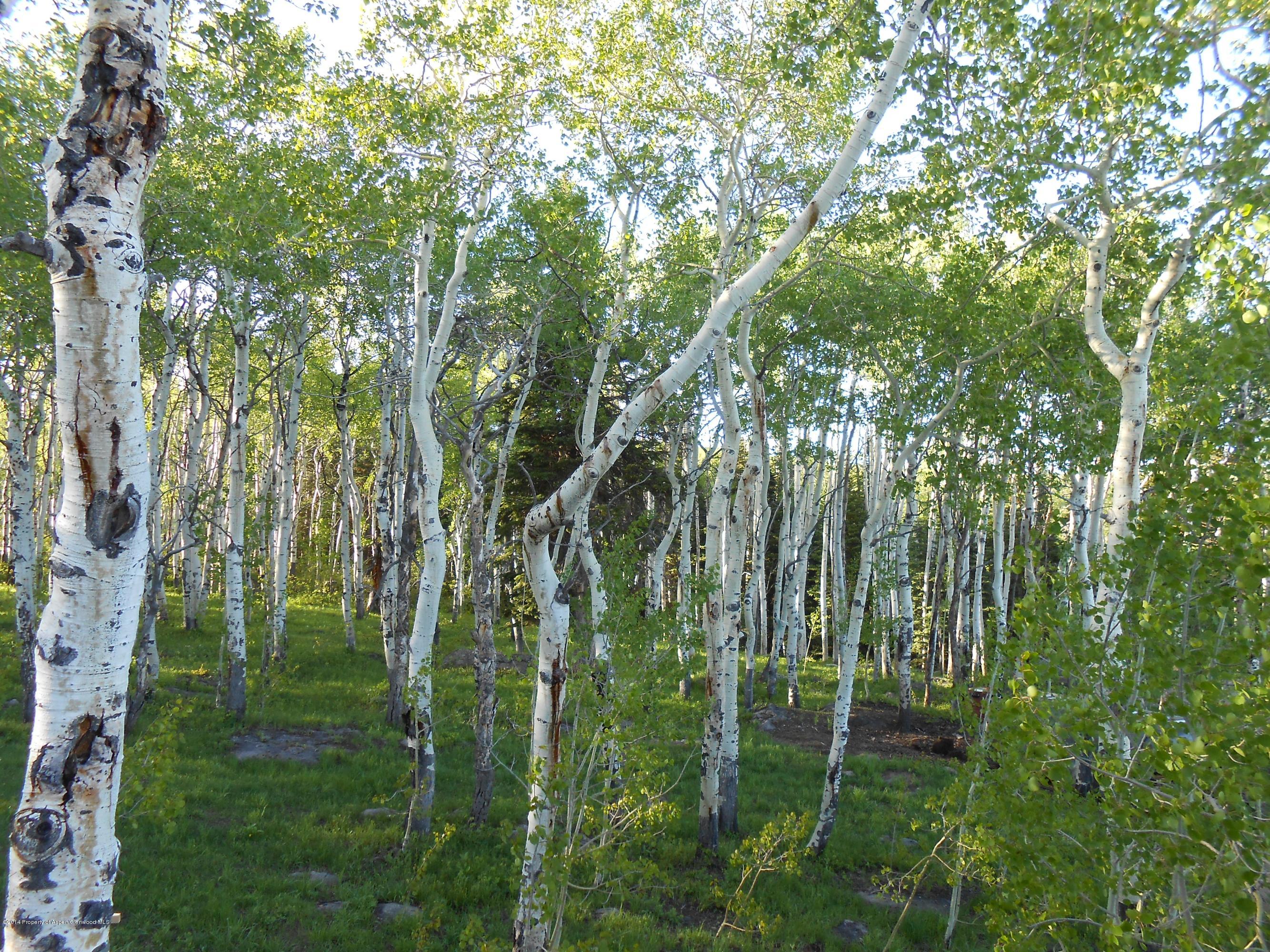 630 Foster Ridge Glenwood Springs CO 81601