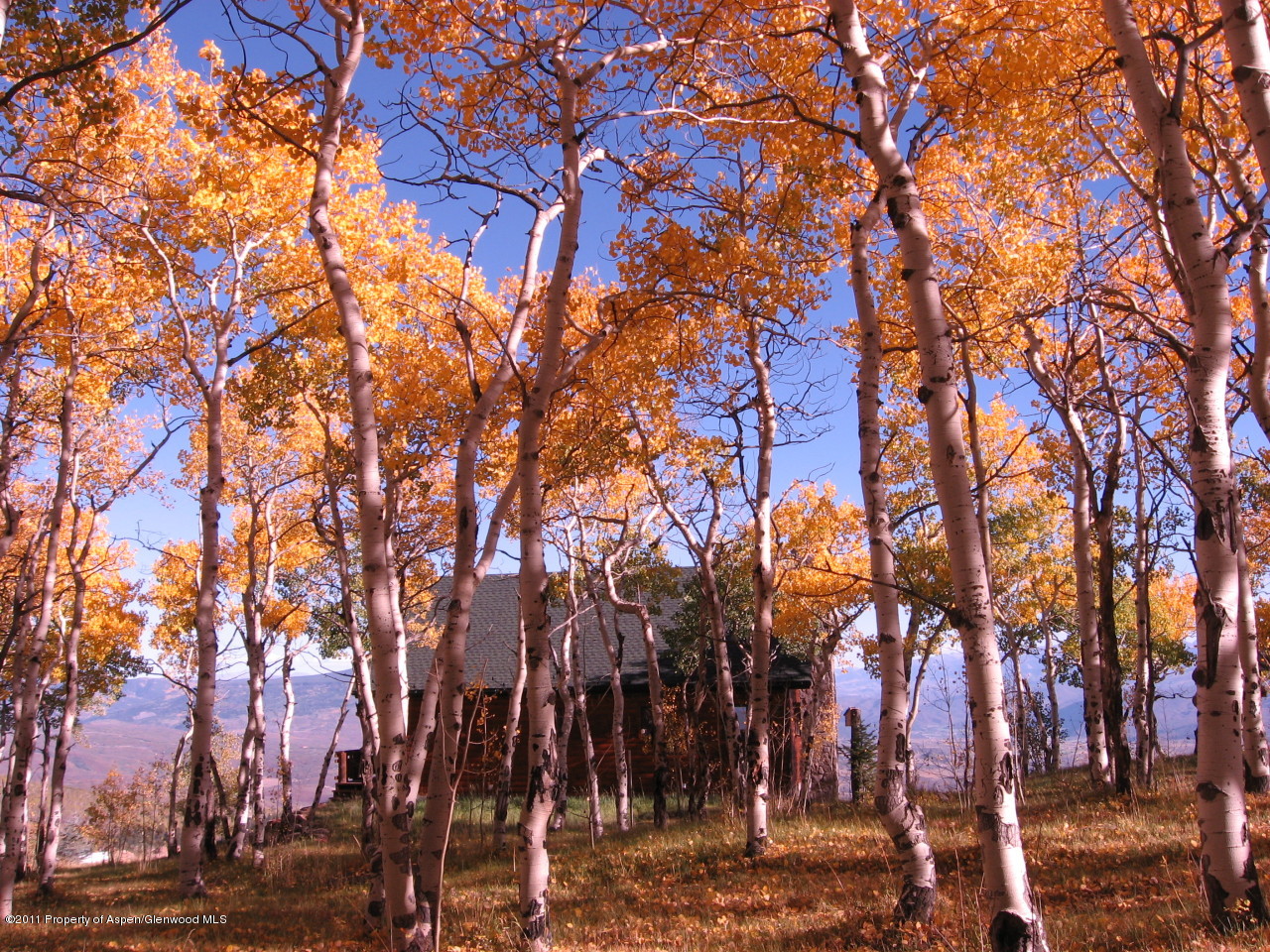 630 Foster Ridge Glenwood Springs CO 81601