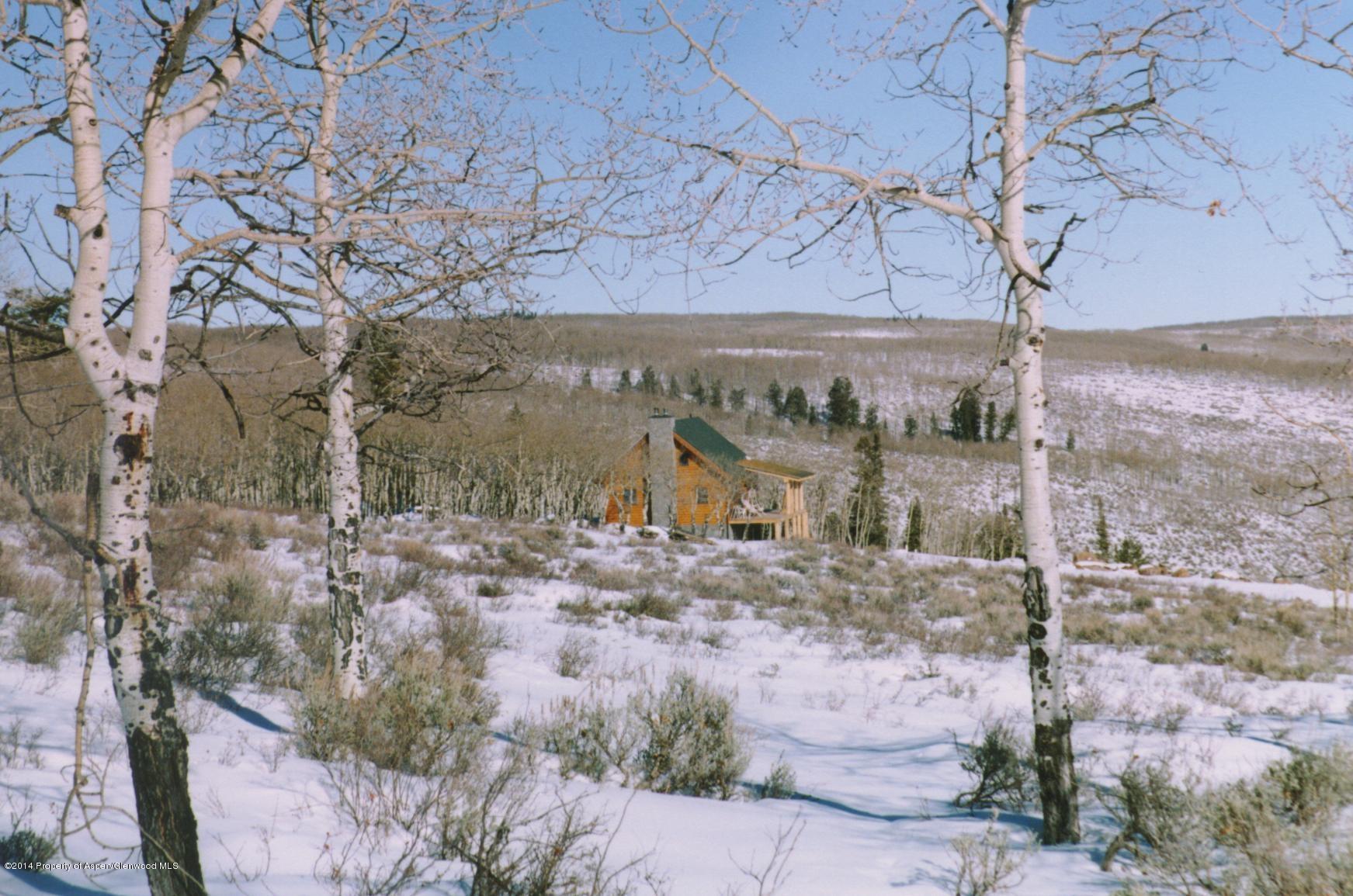 630 Foster Ridge Glenwood Springs CO 81601