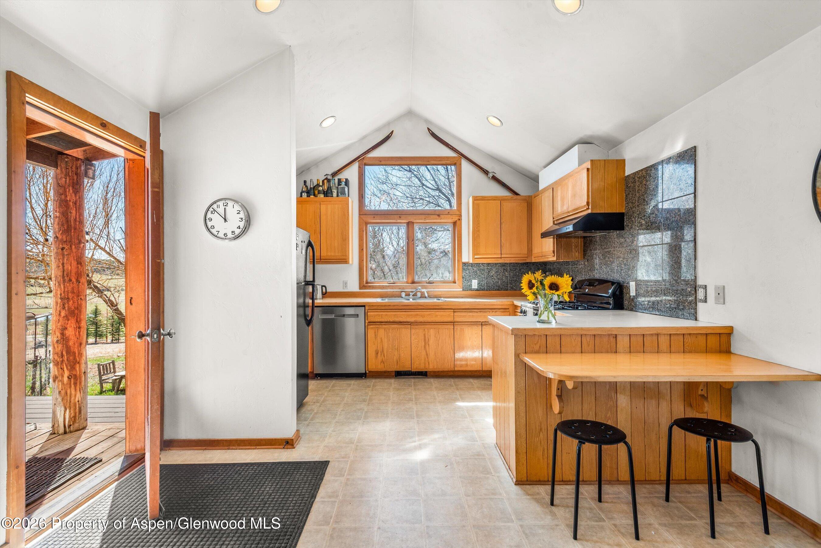 14 Old Orchard Road Carbondale CO 81623