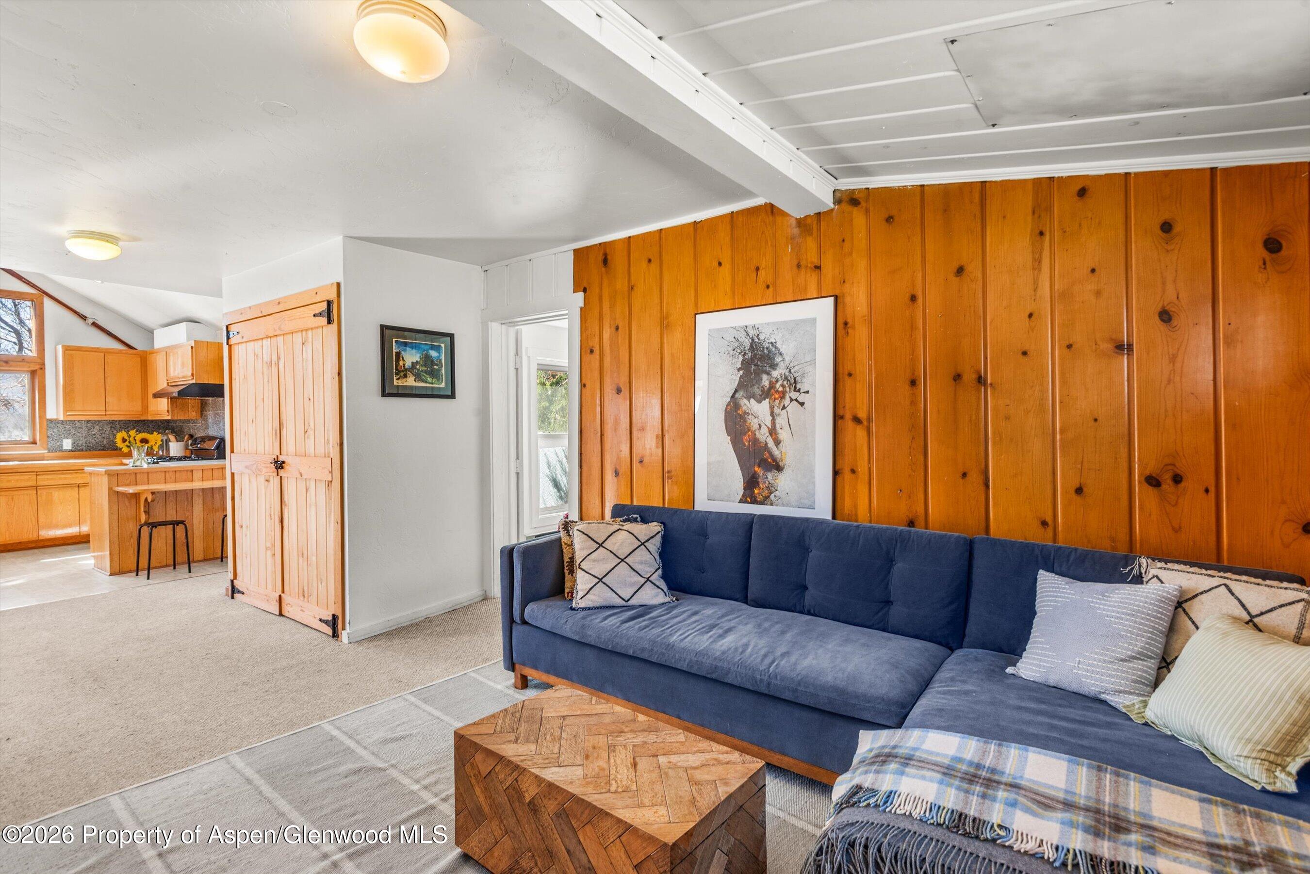 14 Old Orchard Road Carbondale CO 81623