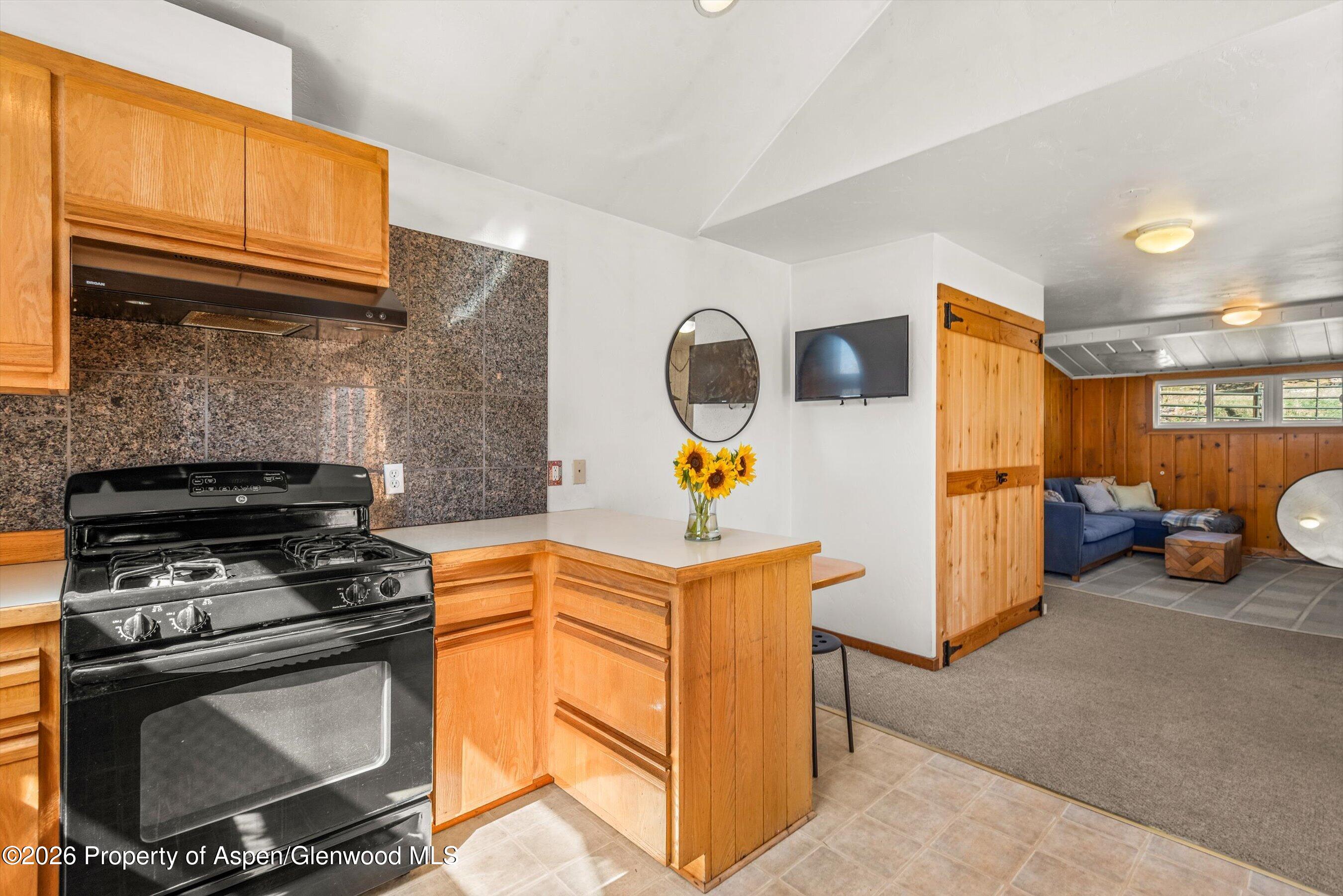 14 Old Orchard Road Carbondale CO 81623