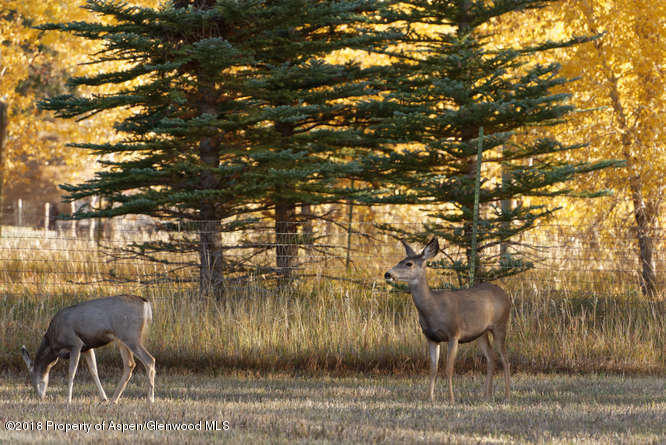 14 Old Orchard Road Carbondale CO 81623