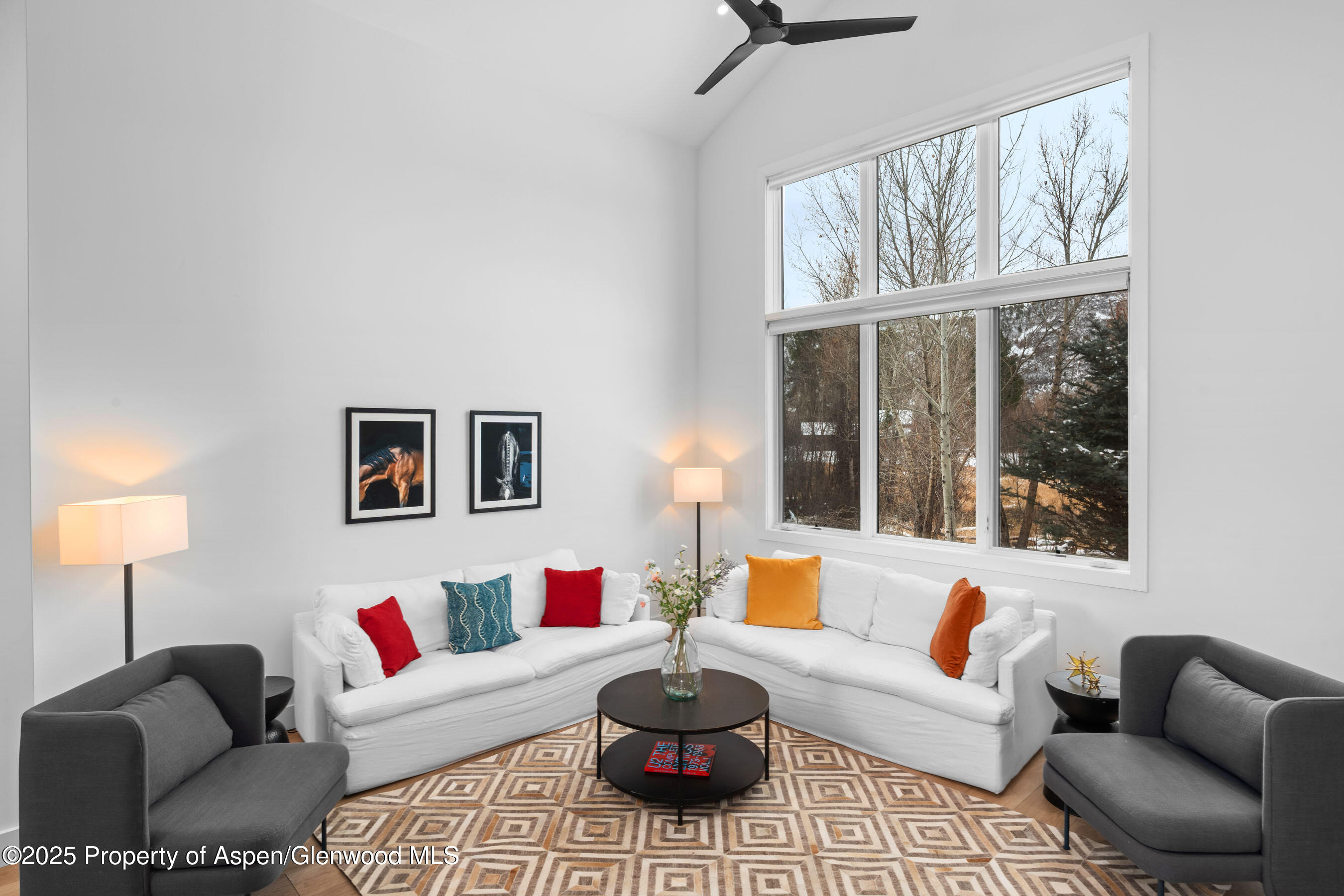 120 Equestrian Way Carbondale CO 81623