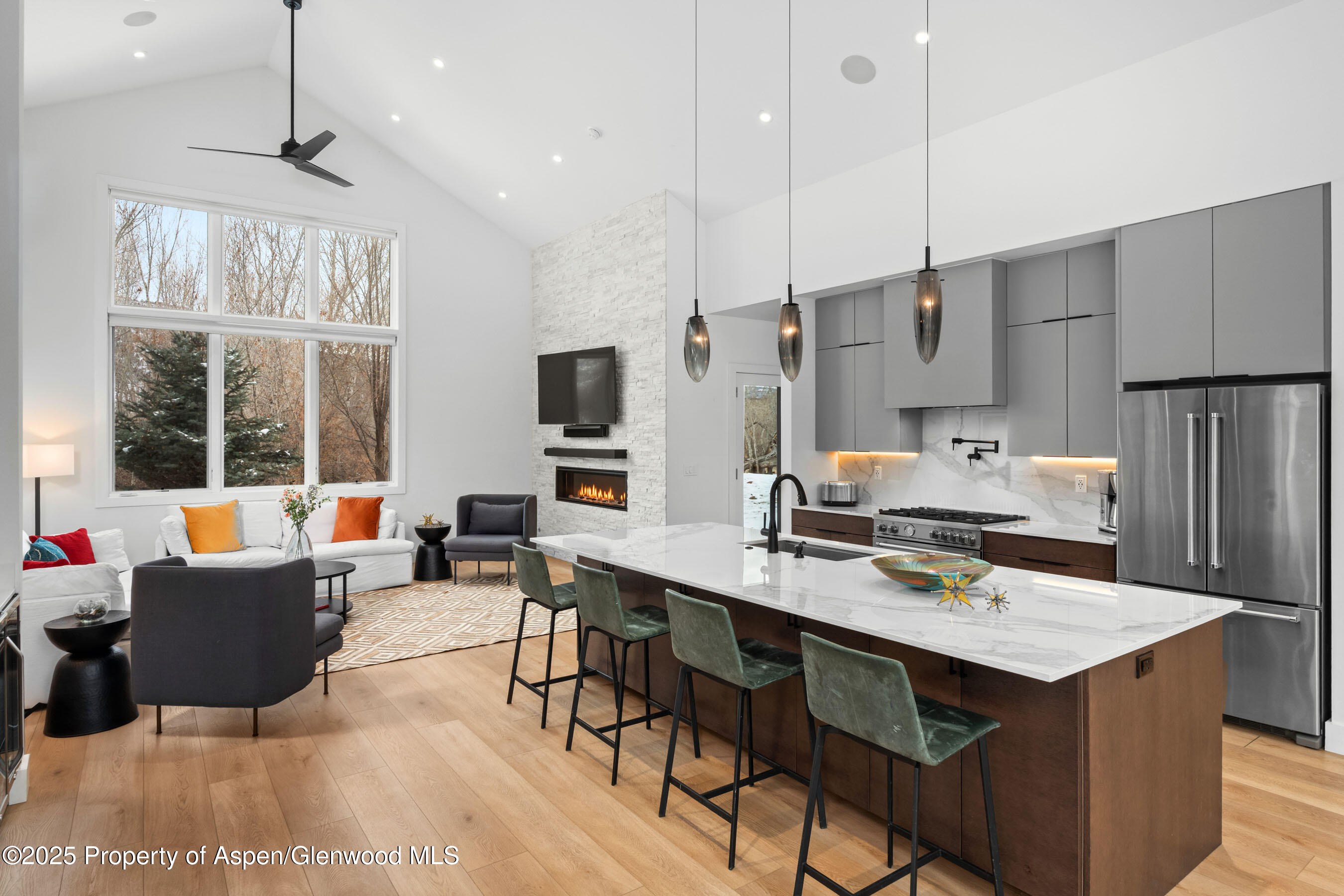 120 Equestrian Way Carbondale CO 81623