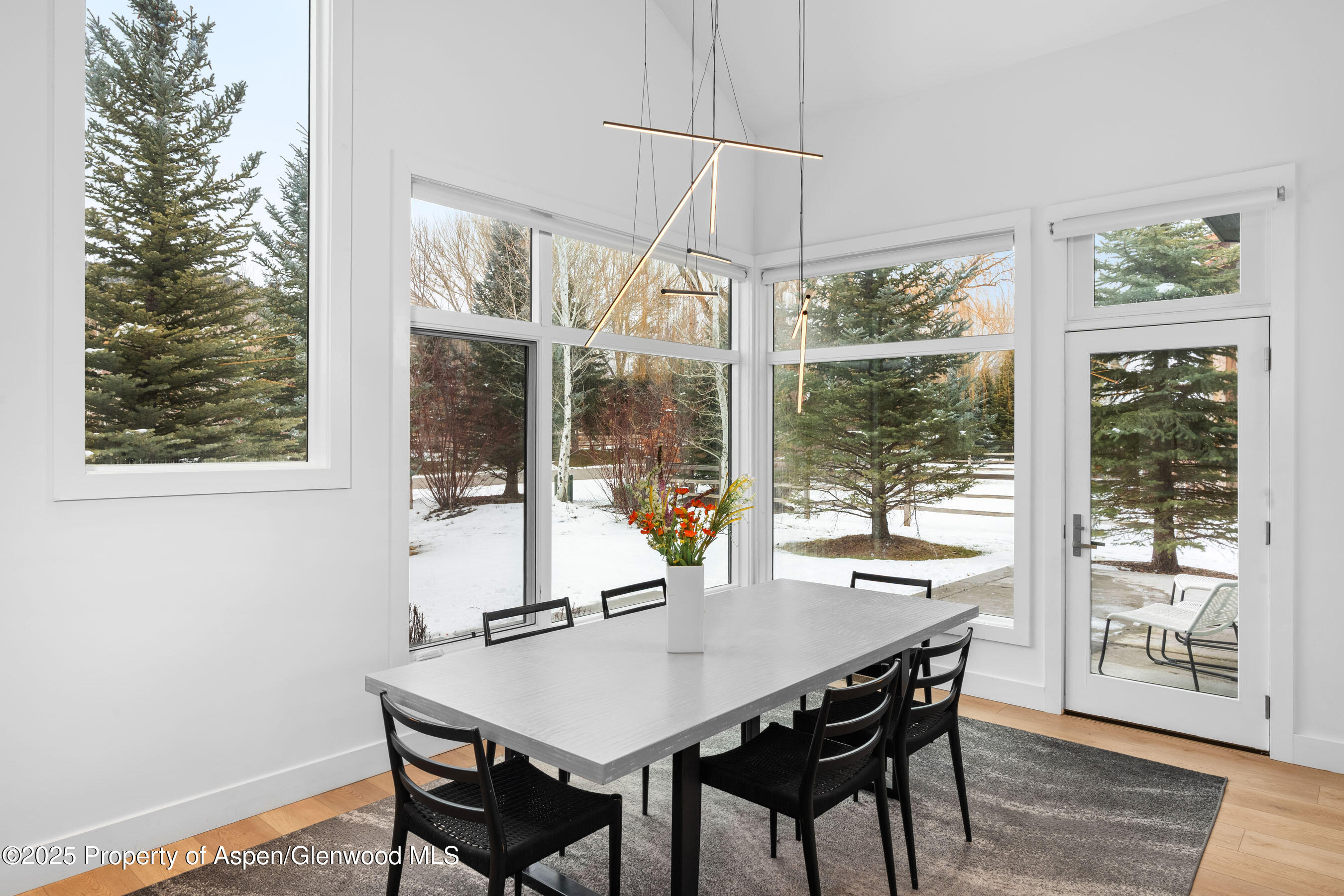 120 Equestrian Way Carbondale CO 81623