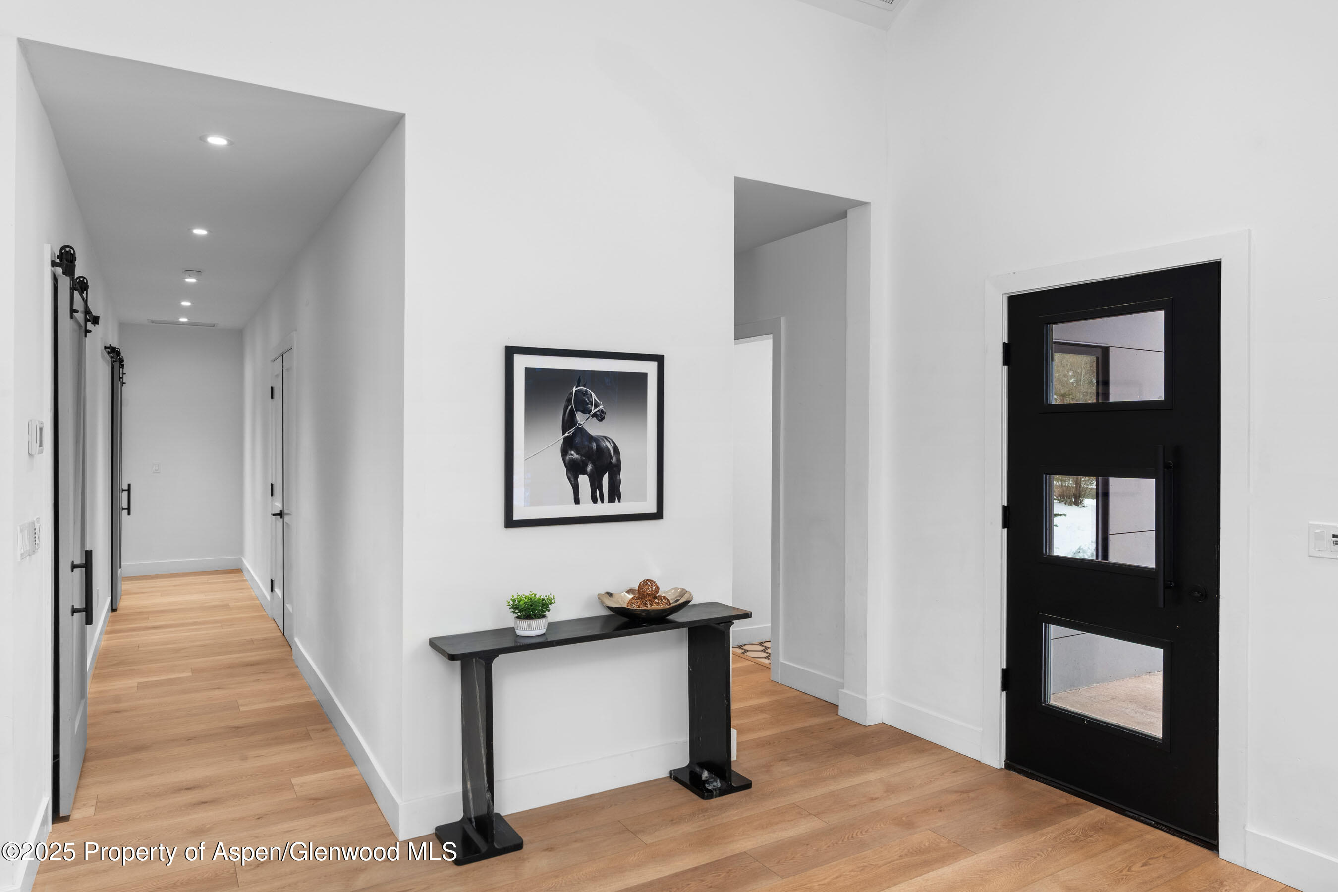 120 Equestrian Way Carbondale CO 81623