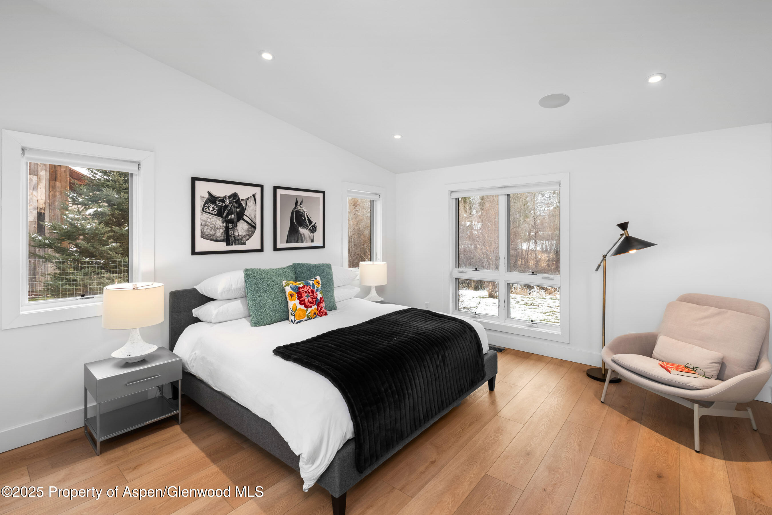 120 Equestrian Way Carbondale CO 81623