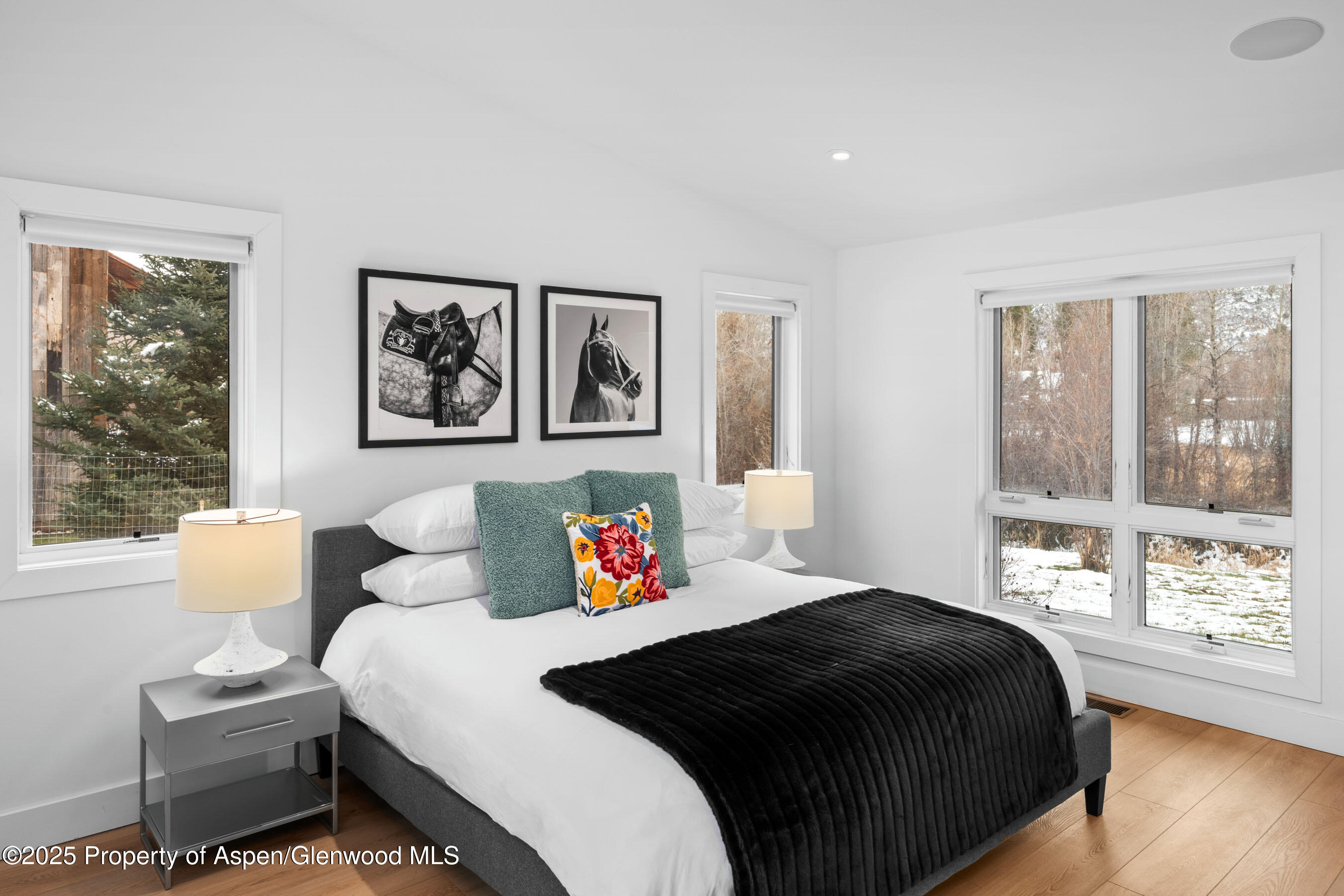 120 Equestrian Way Carbondale CO 81623