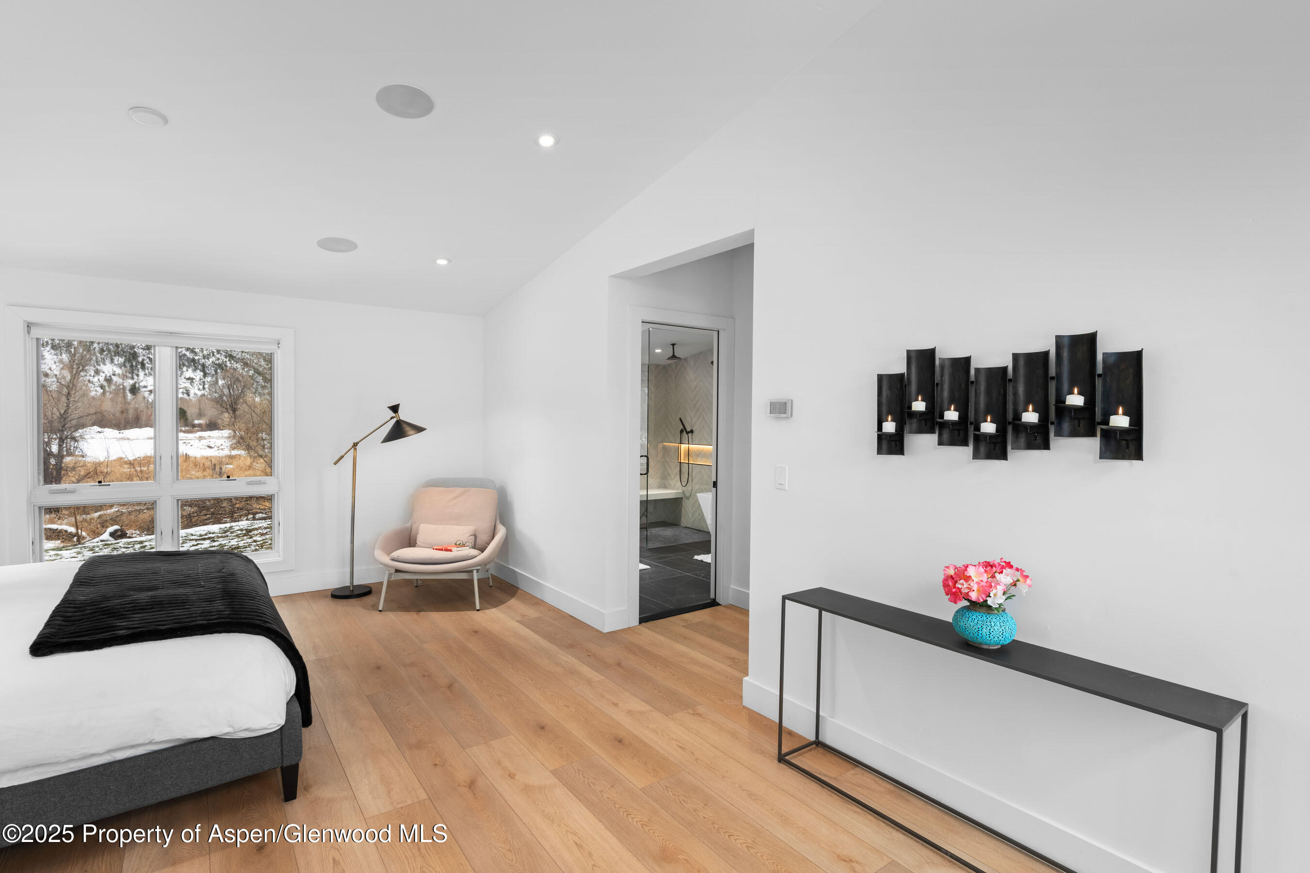 120 Equestrian Way Carbondale CO 81623